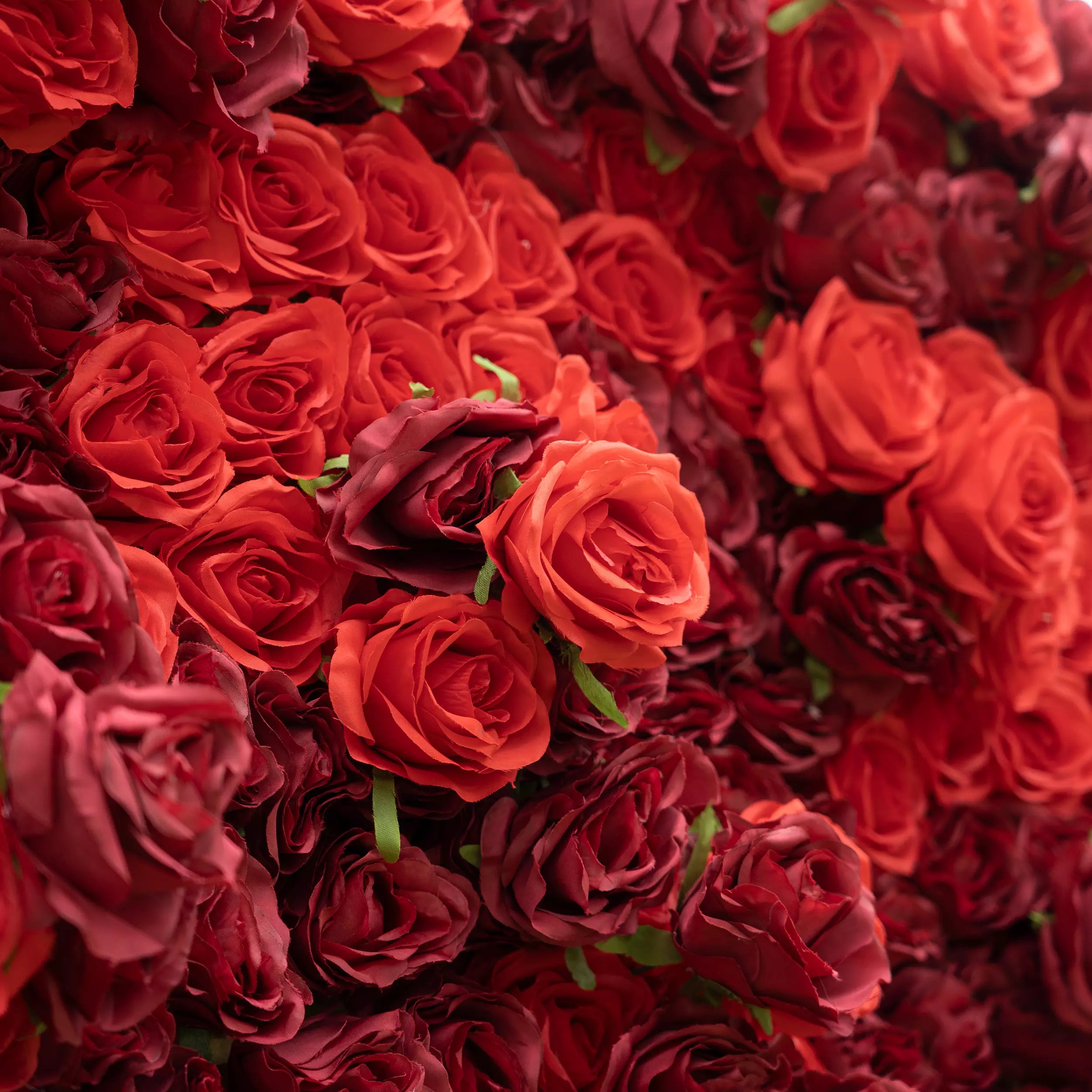 Roll Up Fabric Artificial Flower Wall Crimson Coronation: A Regal Array of Red Roses Radiating Romance and Reverence | VF-172