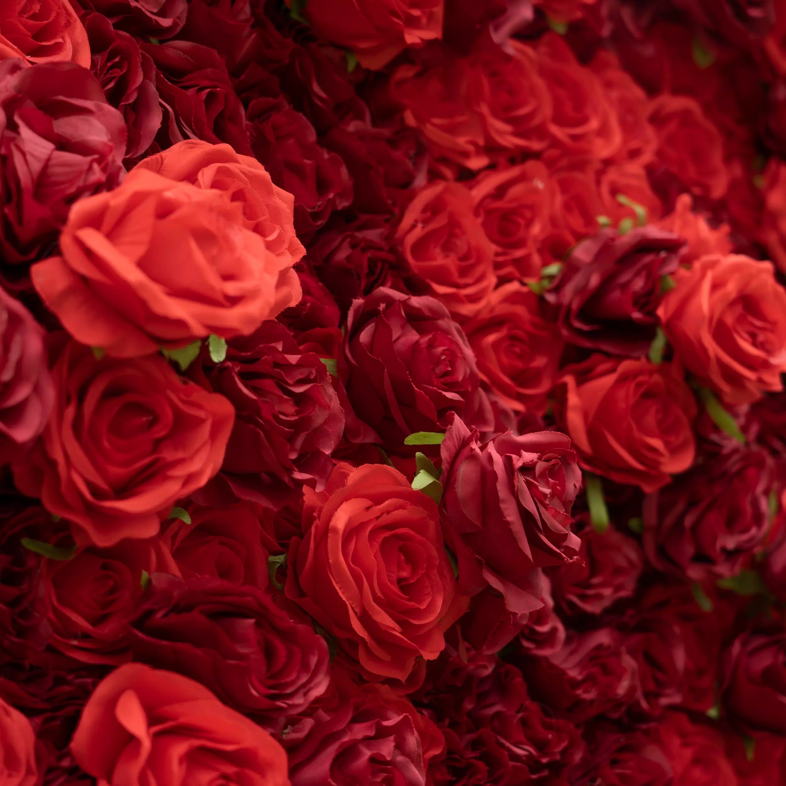 Roll Up Fabric Artificial Flower Wall Crimson Coronation: A Regal Array of Red Roses Radiating Romance and Reverence | VF-172