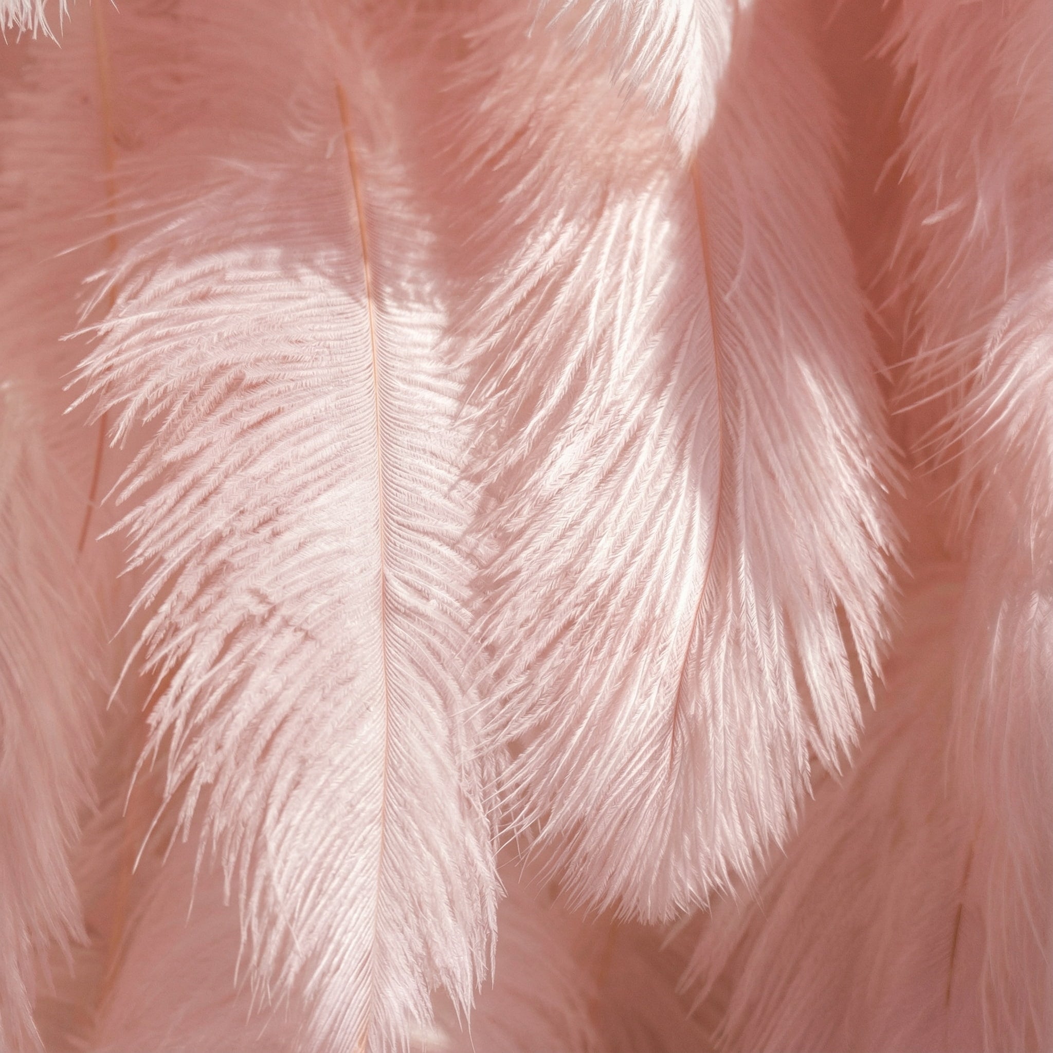 Blush Pink Artificial Feather Backdrop: Luxe Plume Display with 7+ Color Options & Custom Services. DIY Photo Booth Decoration- Pink | VF-164-BLUSH
