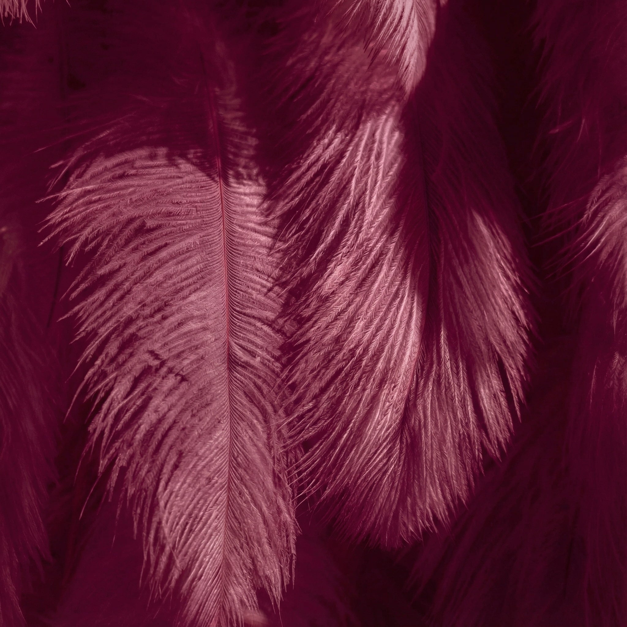 Burgundy Artificial Feather Backdrop: Luxe Plume Display with 7+ Color Options & Custom Services. DIY Photo Booth Decoration | VF-164-BURGUNDY