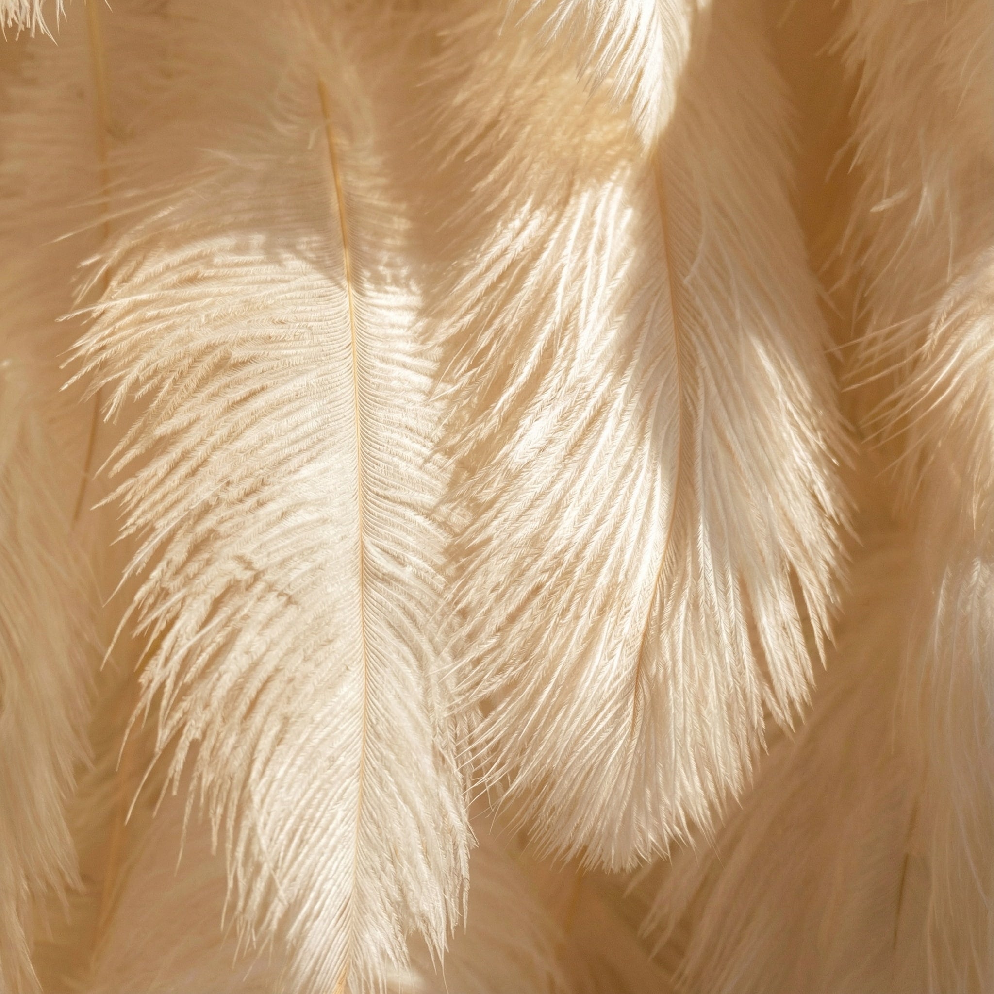 Champagne Artificial Feather Backdrop: Luxe Plume Display with 7+ Color Options & Custom Services. DIY Photo Booth Decoration | VF-164-CHAMPAGNE