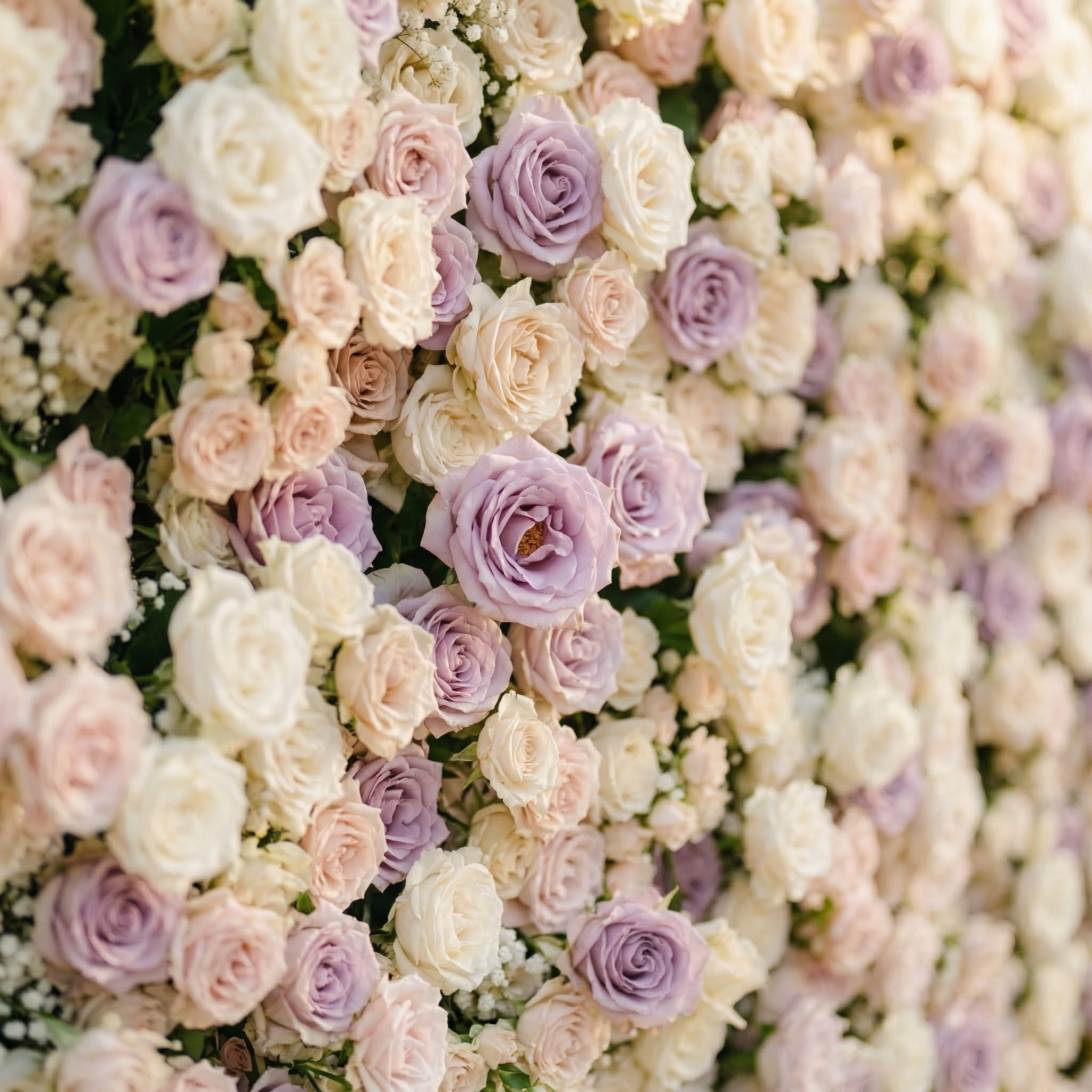 Alirae: 5D Sweet Lilac & Cream Silk Rose Flower Wall Roll-Up Fabric Backdrop for Elegant Anniversary & Event Decor Free Shipping