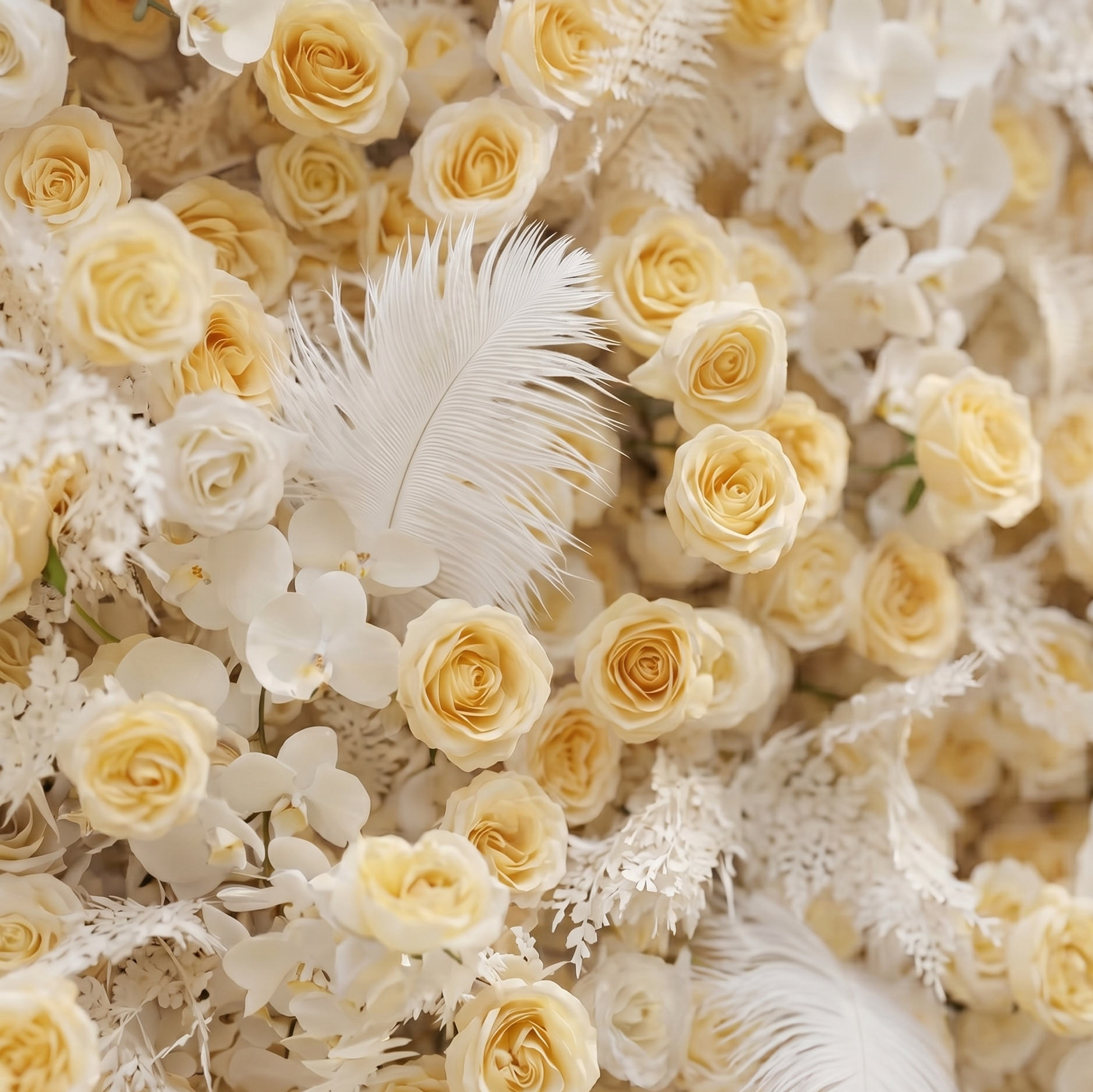 Caelsira: Luxury 5D Champagne & Cream Silk Rose Flower Wall Roll-Up Fabric Backdrop for Grand Estate Weddings Free Shipping