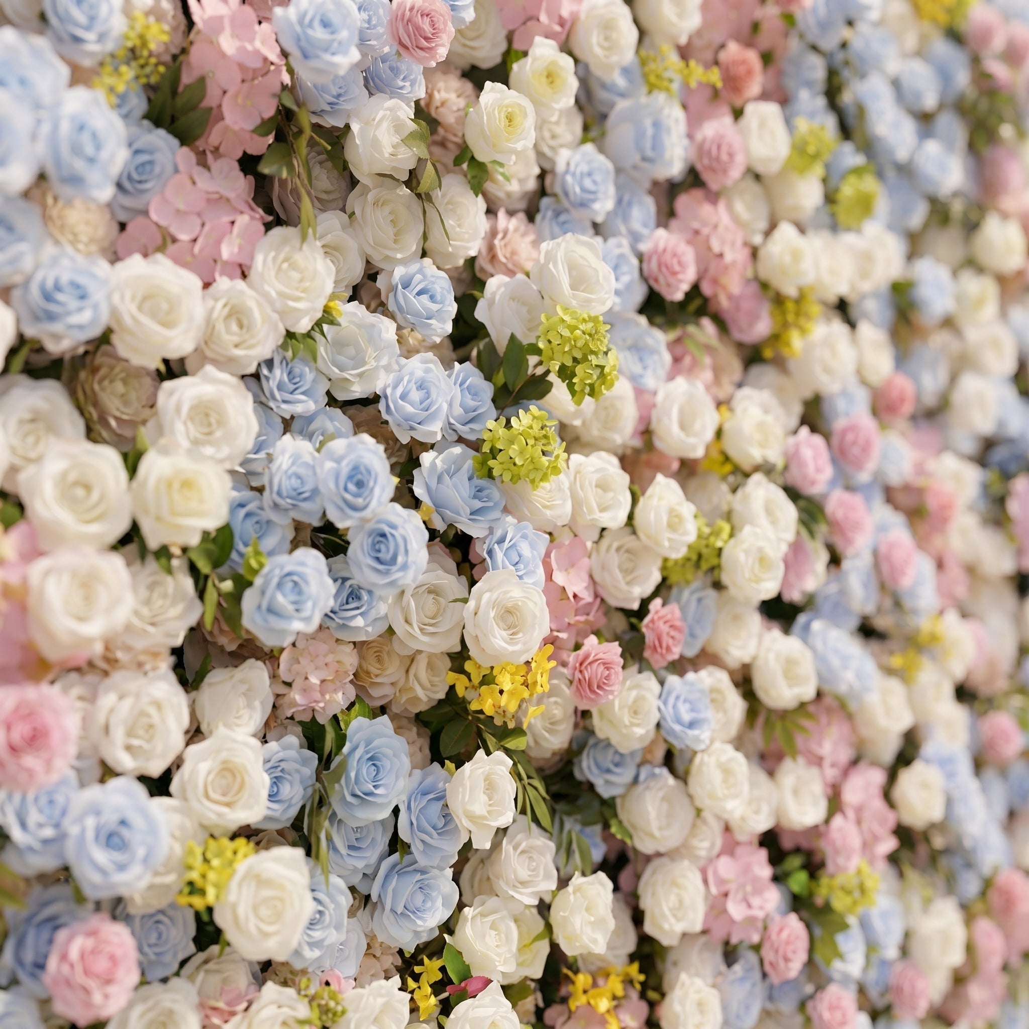 Calora:5D Dusty Blue, Blush Pink & Ivory White Silk Rose Flower Wall Roll-Up Fabric Backdrop for Romantic Weddings & Proposals Free Shipping
