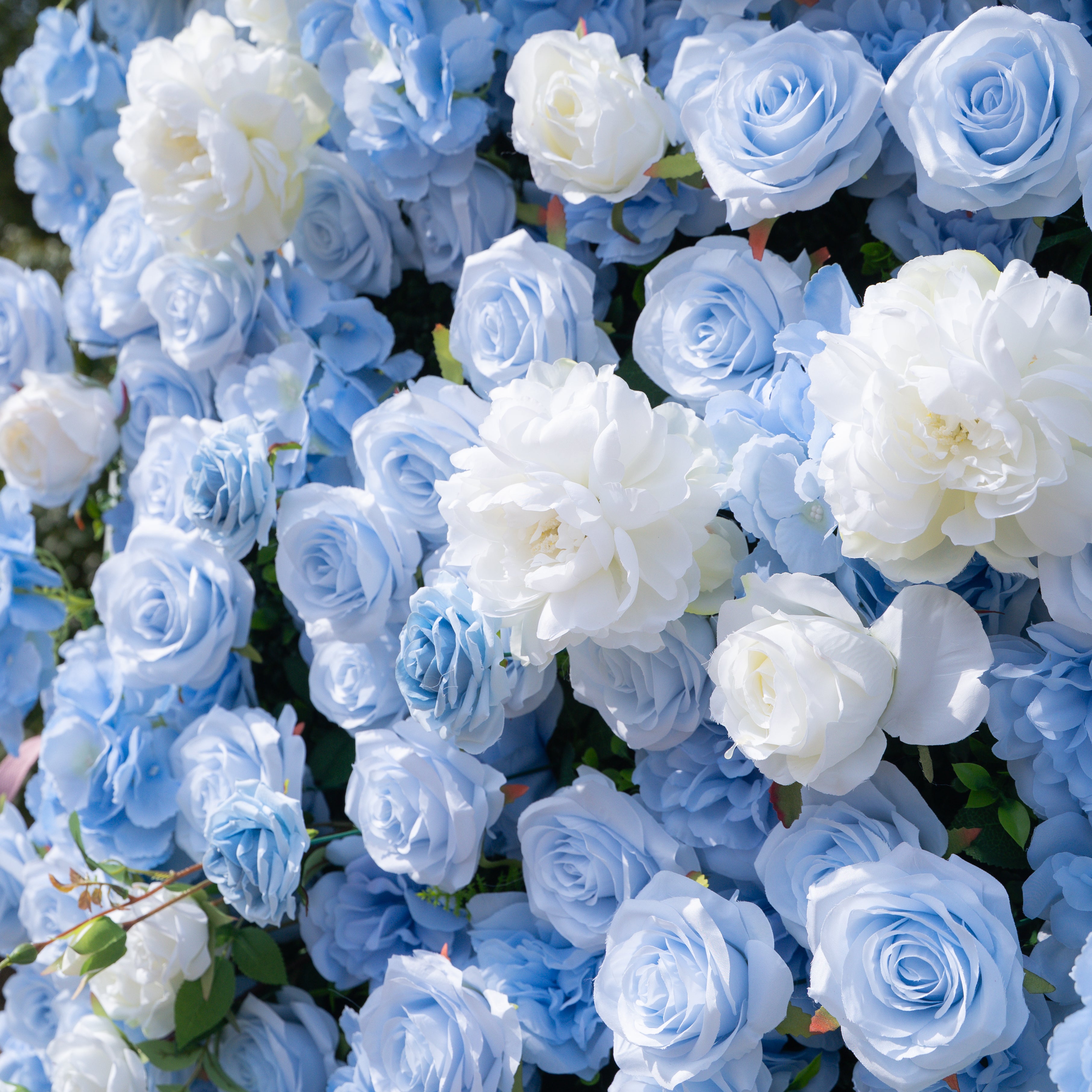Clarissa：3D Fabric Artificial rolling up curtain flower wall Free Shipping