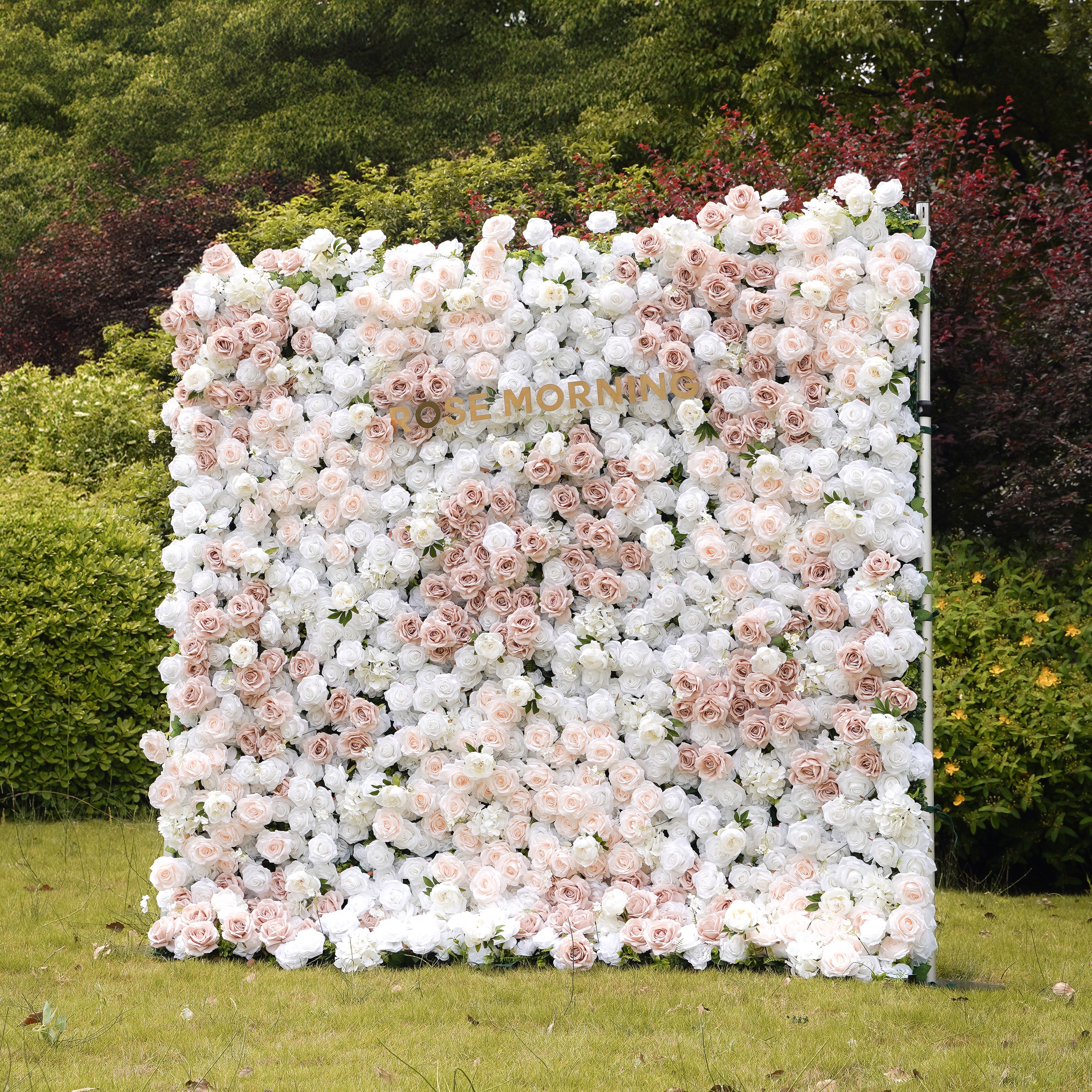 Corrine：5D Fabric Artificial rolling up curtain flower wall Rose Morning