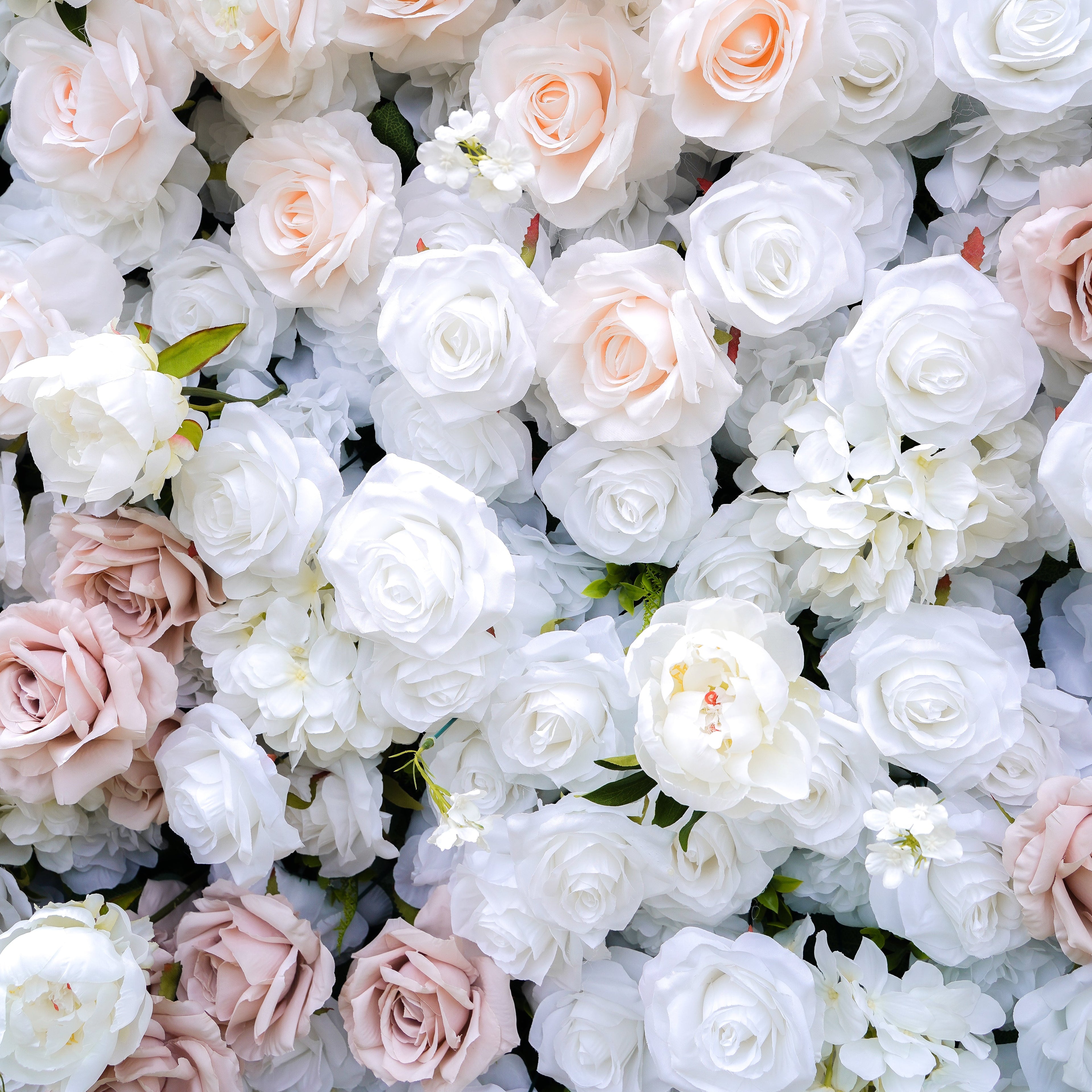 Corrine：5D Fabric Artificial rolling up curtain flower wall Rose Morning