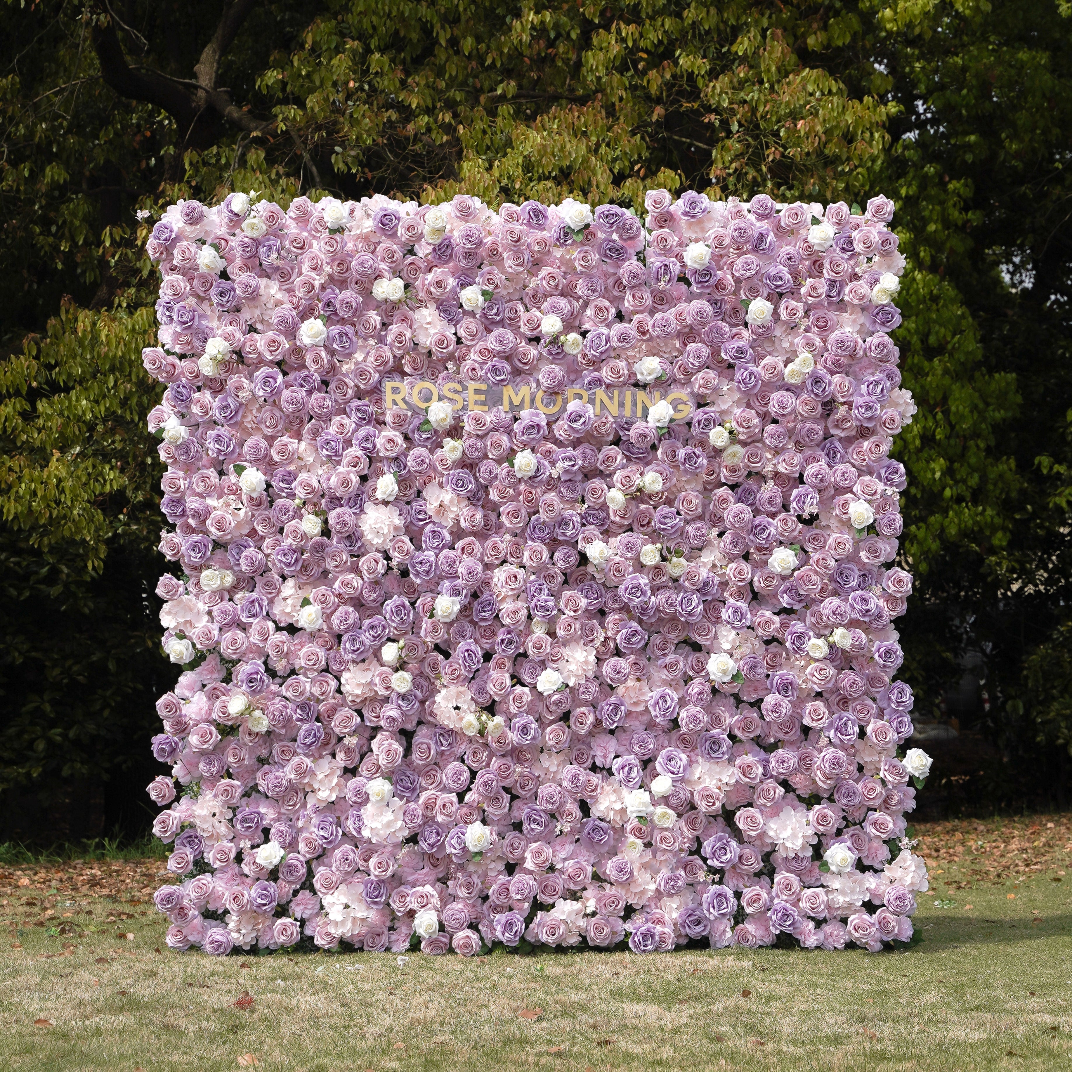 Alina：5D Fabric Artificial rolling up curtain flower wall Free Shipping