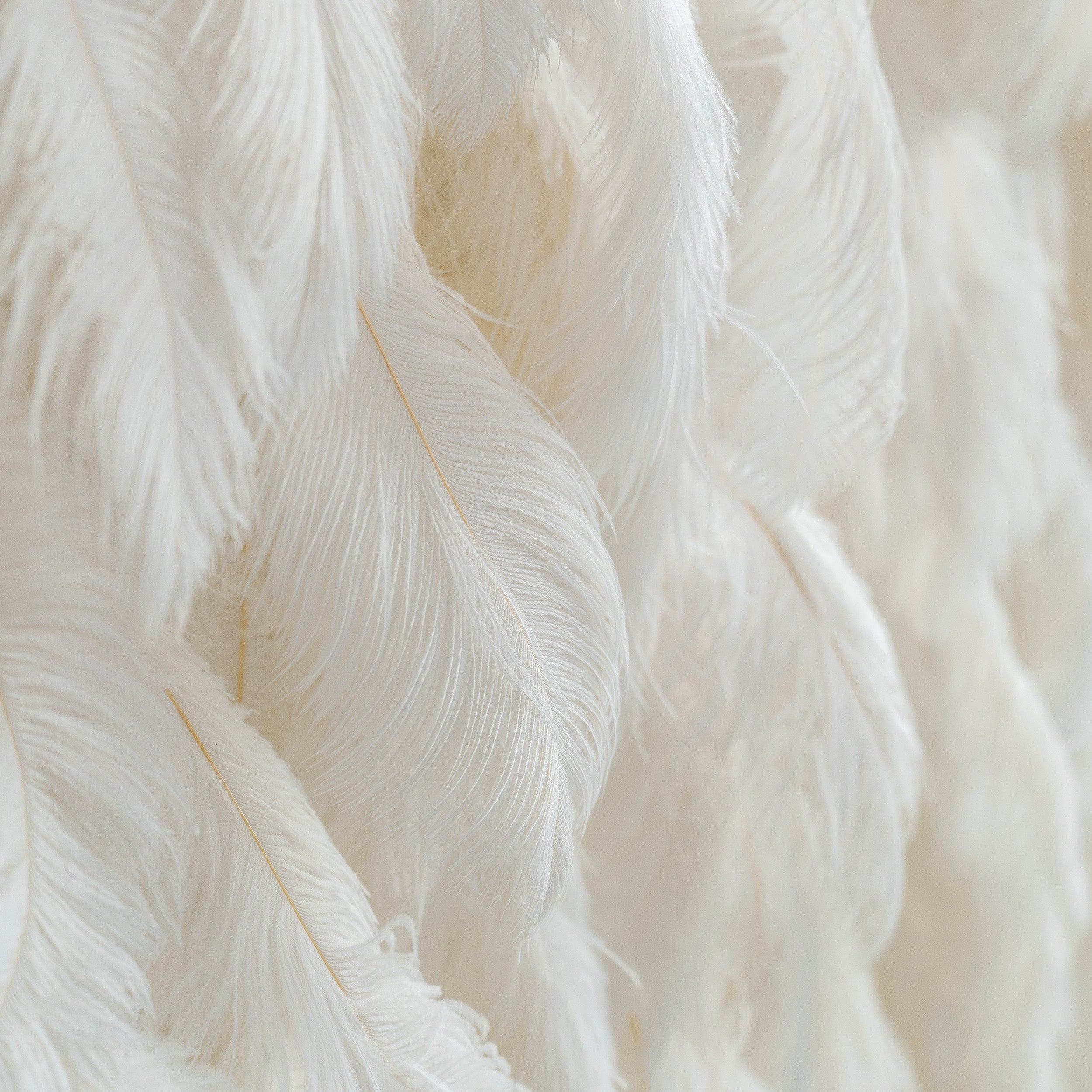Artificial Floral Wall Backdrop: Celestial White Feather Dreamscape - The Ethereal Whisper Collection for Luxurious Weddings and Events | VF-164-WHITE