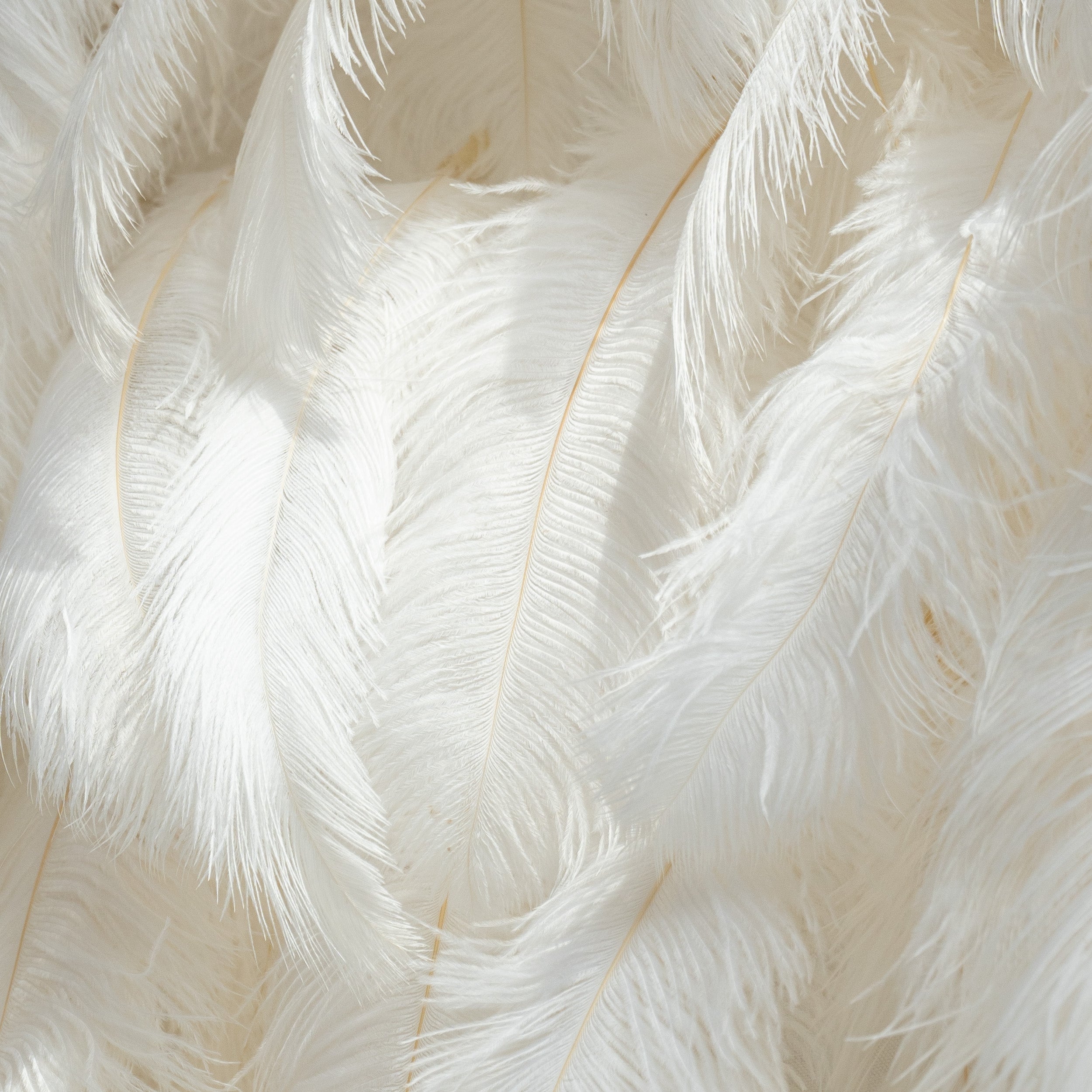 Artificial Floral Wall Backdrop: Celestial White Feather Dreamscape - The Ethereal Whisper Collection for Luxurious Weddings and Events | VF-164-WHITE