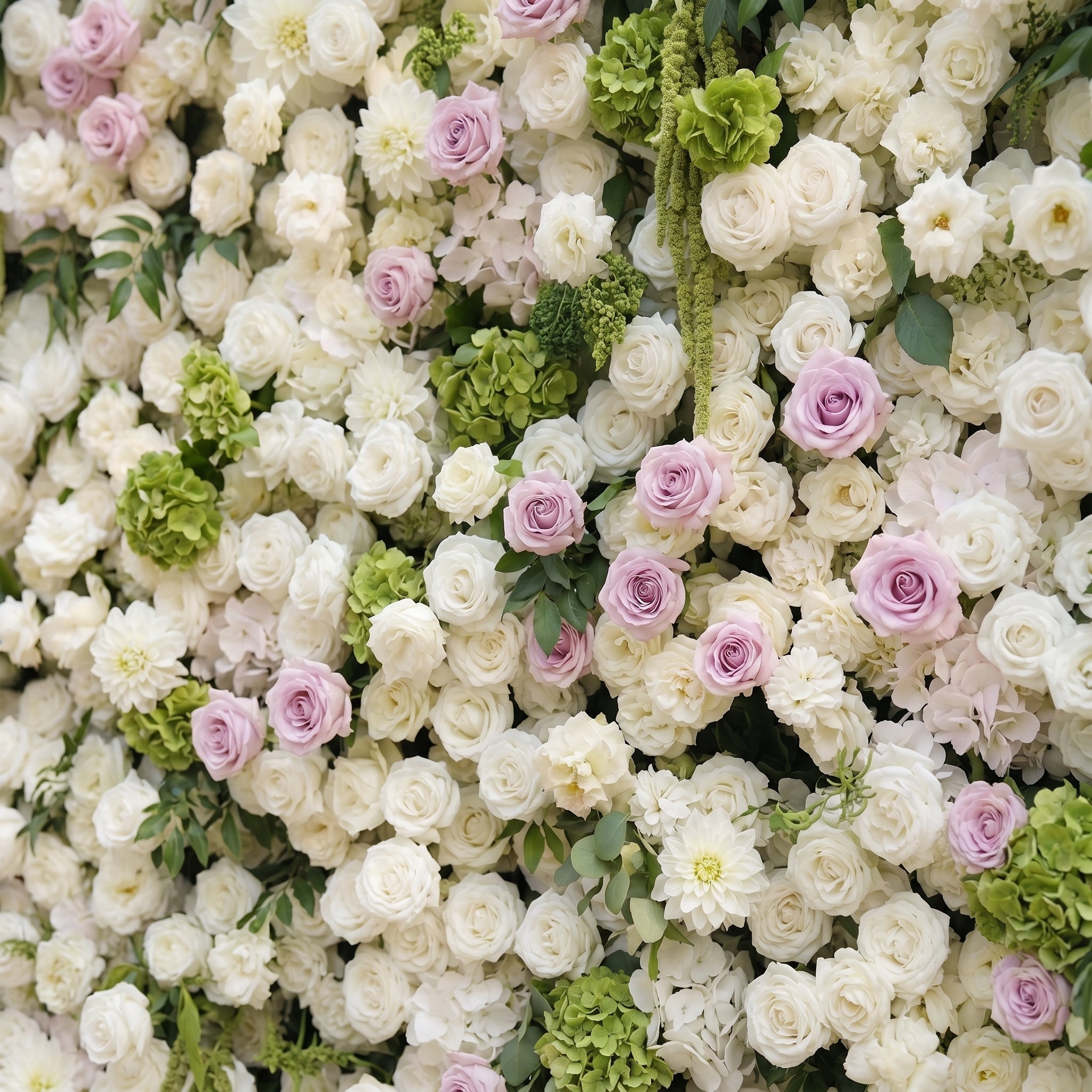 Jollyra:5D Blush Lavender Pink & Ivory White Silk Rose Flower Wall Roll-Up Fabric Backdrop with Lush Greenery for Romantic Weddings & Proposals Free Shipping