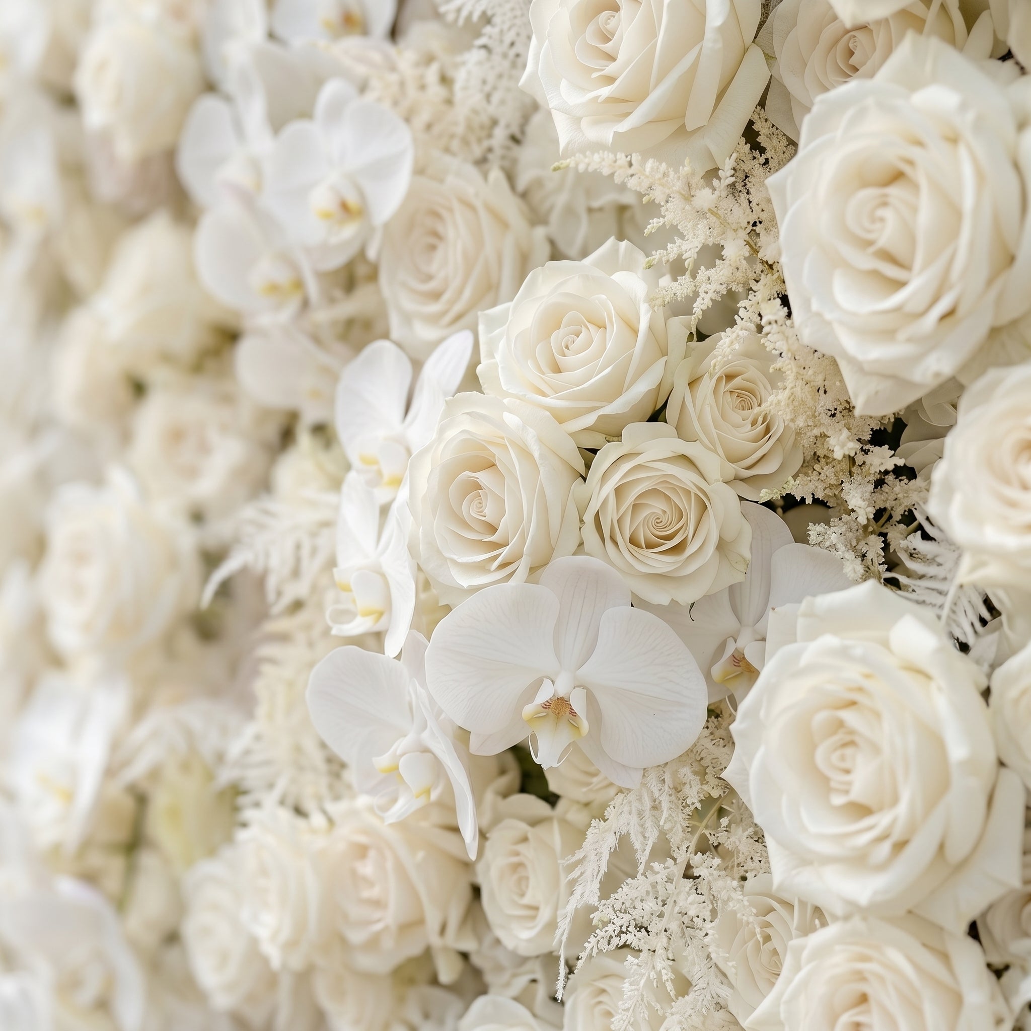 Junbelle:Elegant 5D White Floral Wall with Pampas Grass Accents Roll-Up Backdrop for Whimsical Bridal Showers Free Shipping