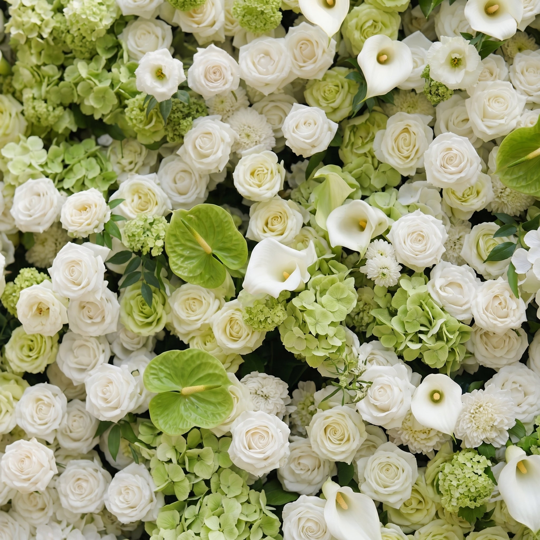 Keirmira:5D Fresh Green & Ivory White Silk Rose Flower Wall Roll-Up Fabric Backdrop for Romantic Weddings & Proposals Free Shipping