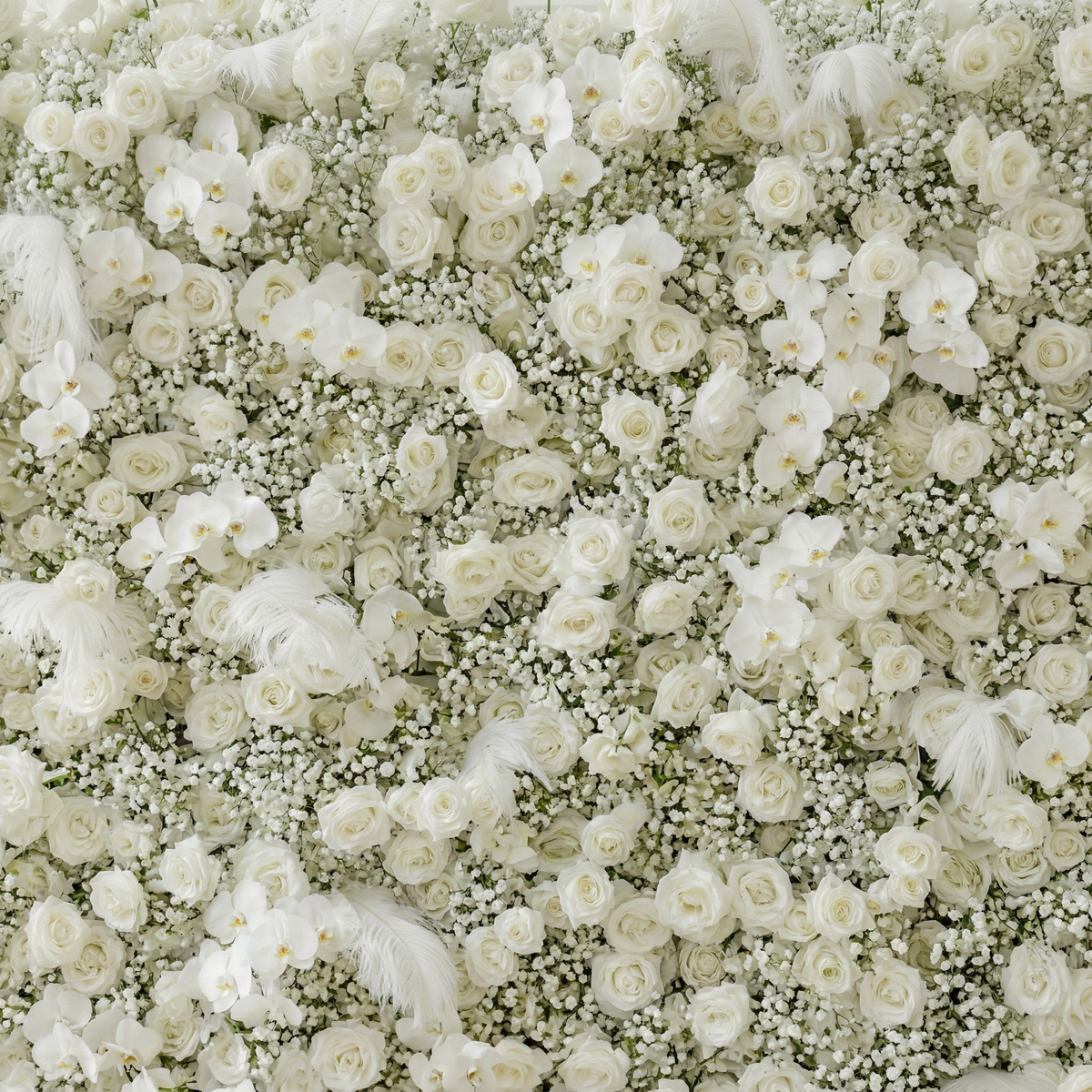 Lachlan: 5D Pure White Baby's Breath & Silk Rose Flower Wall Roll-Up Fabric Backdrop for Dreamy Wedding & Proposal Free Shipping