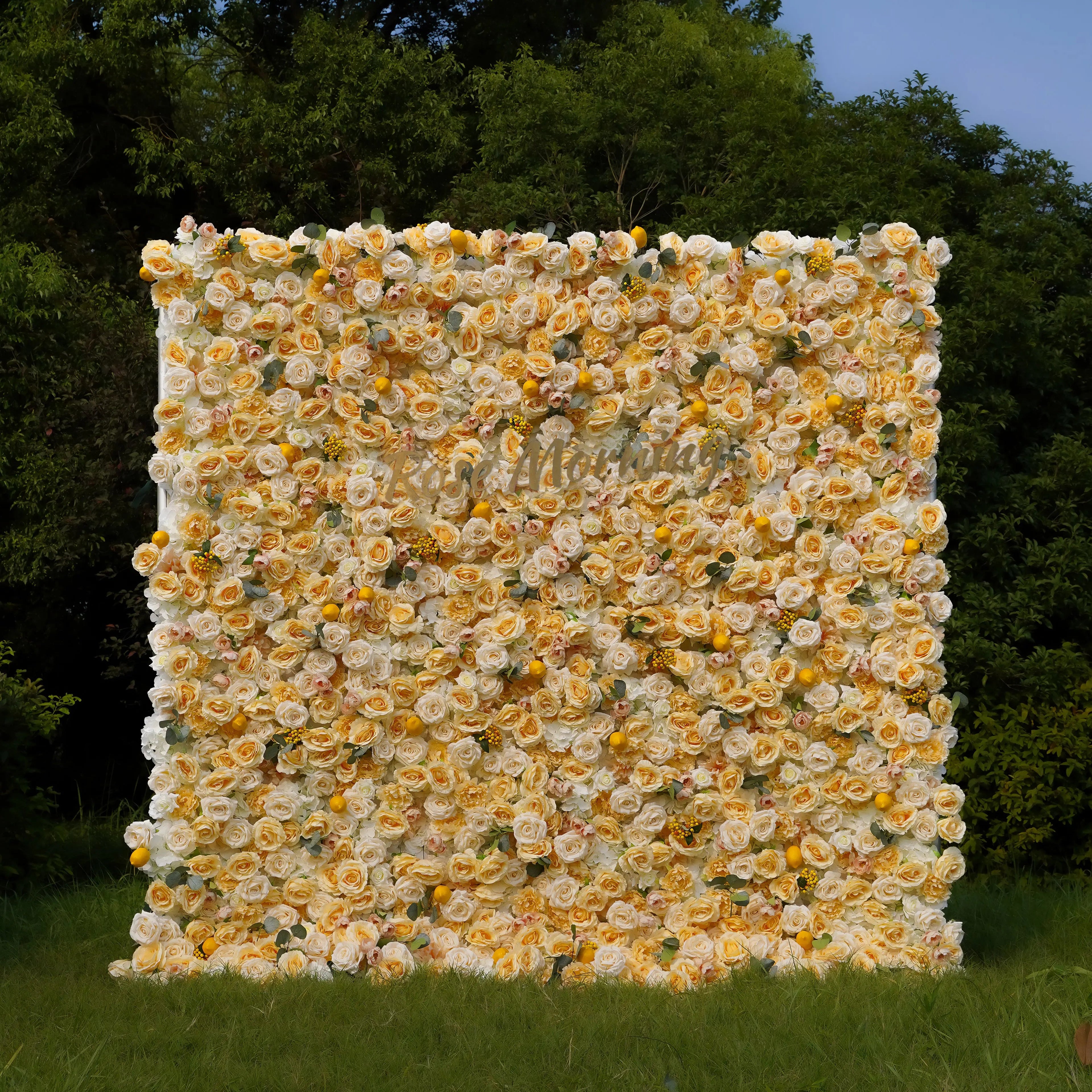 Lemon：7D Fabric Artificial rolling up curtain flower wall Free Shipping
