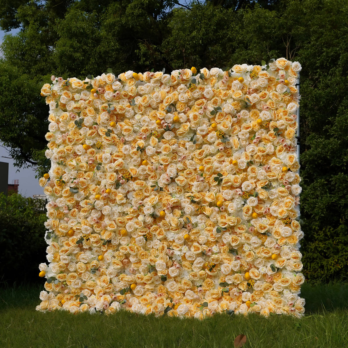 Lemon：7D Fabric Artificial rolling up curtain flower wall Free Shipping