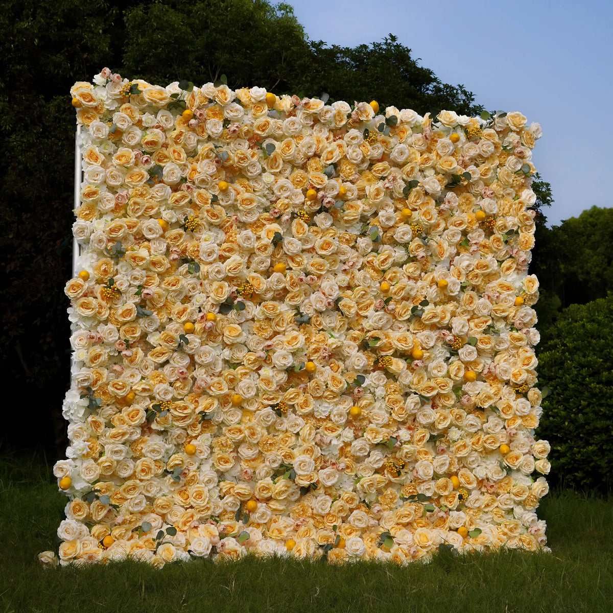 Lemon：7D Fabric Artificial rolling up curtain flower wall Free Shipping