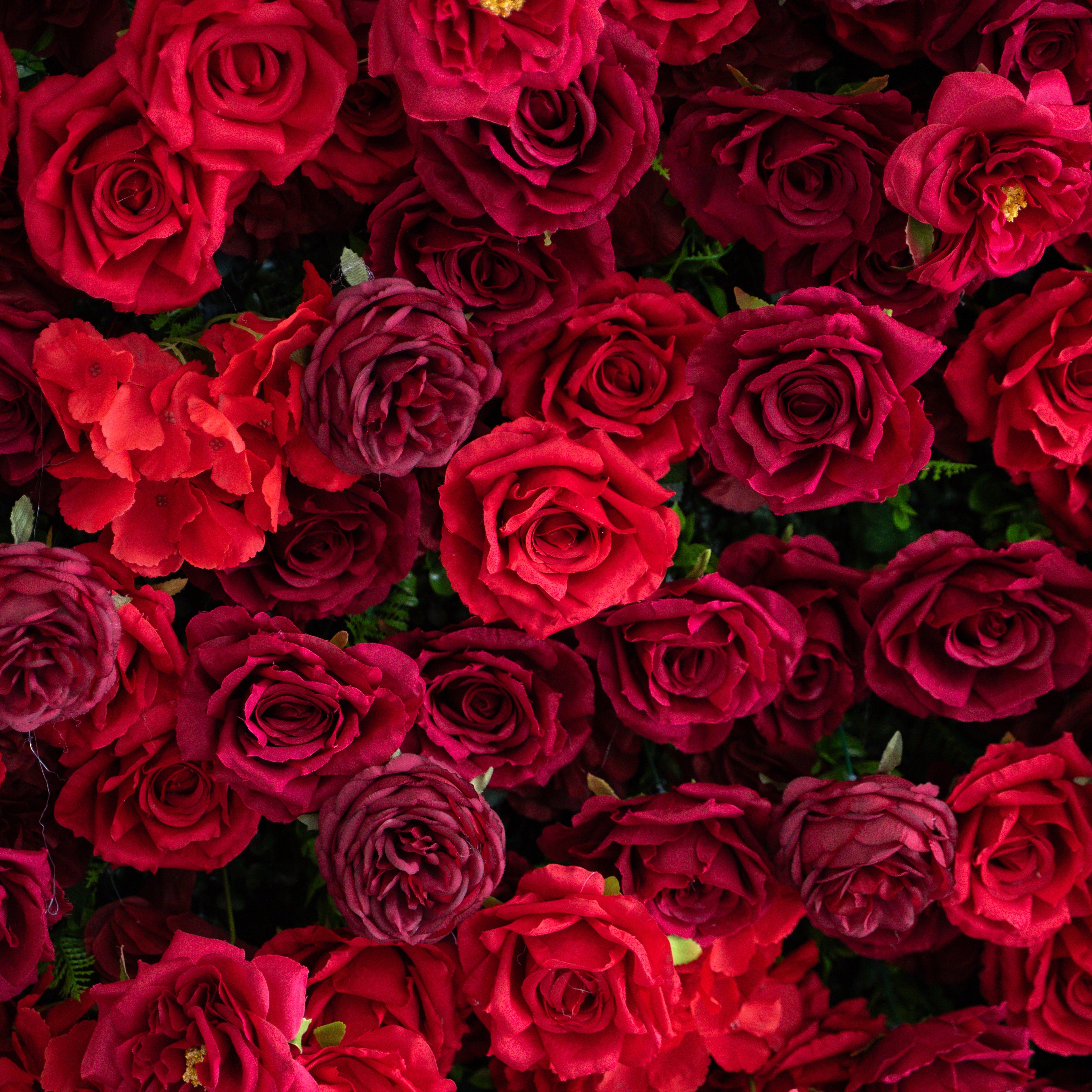 Luna 3D Layered Flower Wall - Luxury Silk Rolling Backdrop Free Shipping