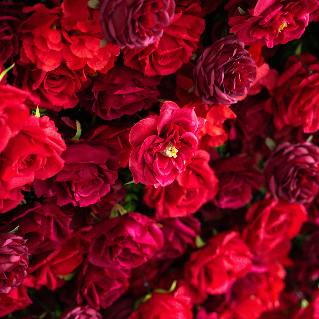 Luna 3D Layered Flower Wall - Luxury Silk Rolling Backdrop Free Shipping