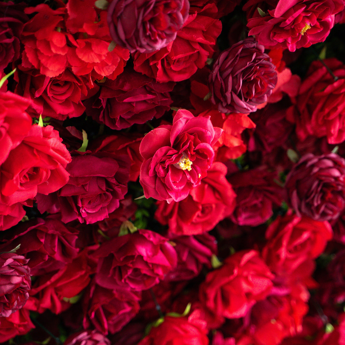 Luna 3D Layered Flower Wall - Luxury Silk Rolling Backdrop Free Shipping