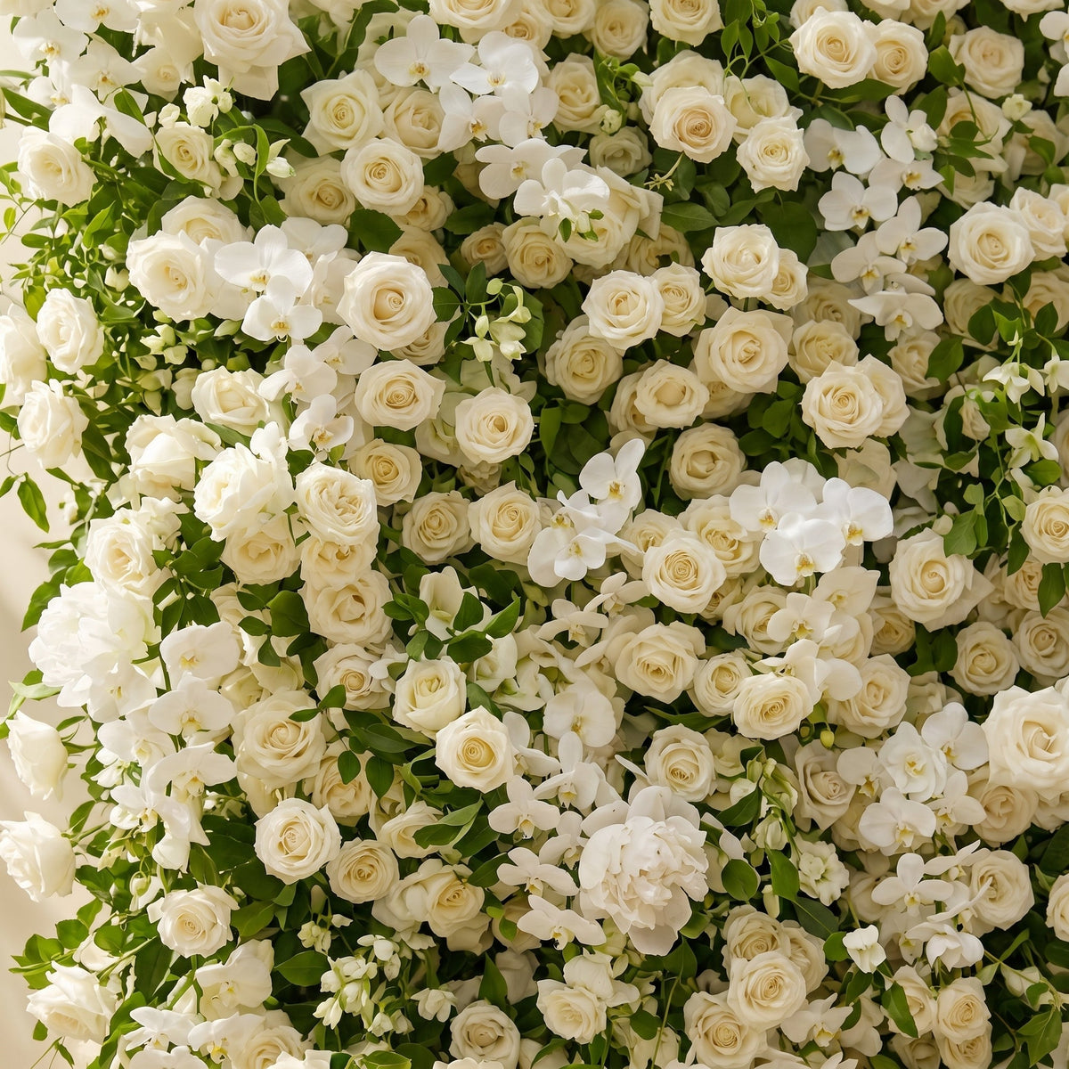 Maelette:Classic and Luxury 5D White Roses Flower Wall with Greenery for Weddings&Event Decor maelette detail 1