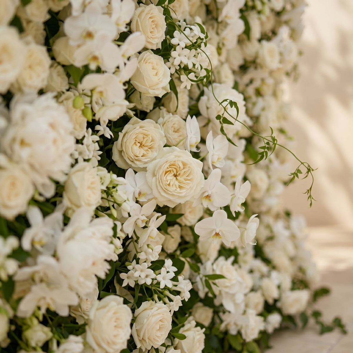 Maelette:Classic and Luxury 5D White Roses Flower Wall with Greenery for Weddings&Event Decor maelette detail 2