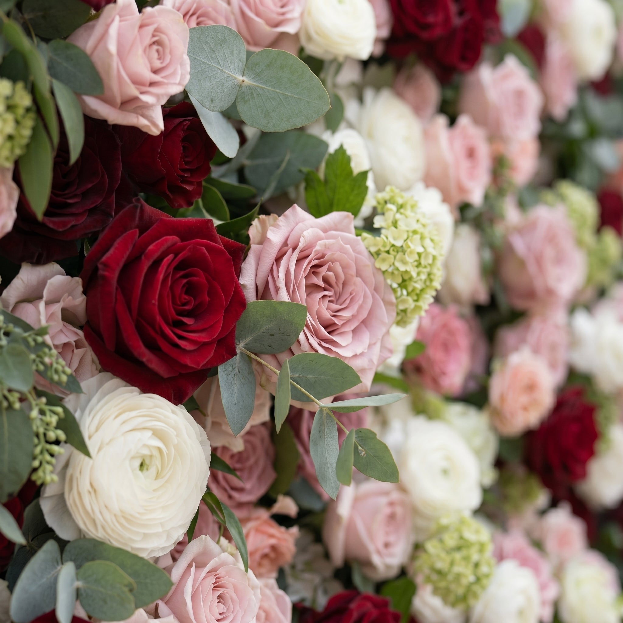 Mavenrella:5D Burgundy Red, Blush Pink & Ivory White Silk Rose Flower Wall Roll-Up Fabric Backdrop for Romantic Weddings & Proposals Free Shipping