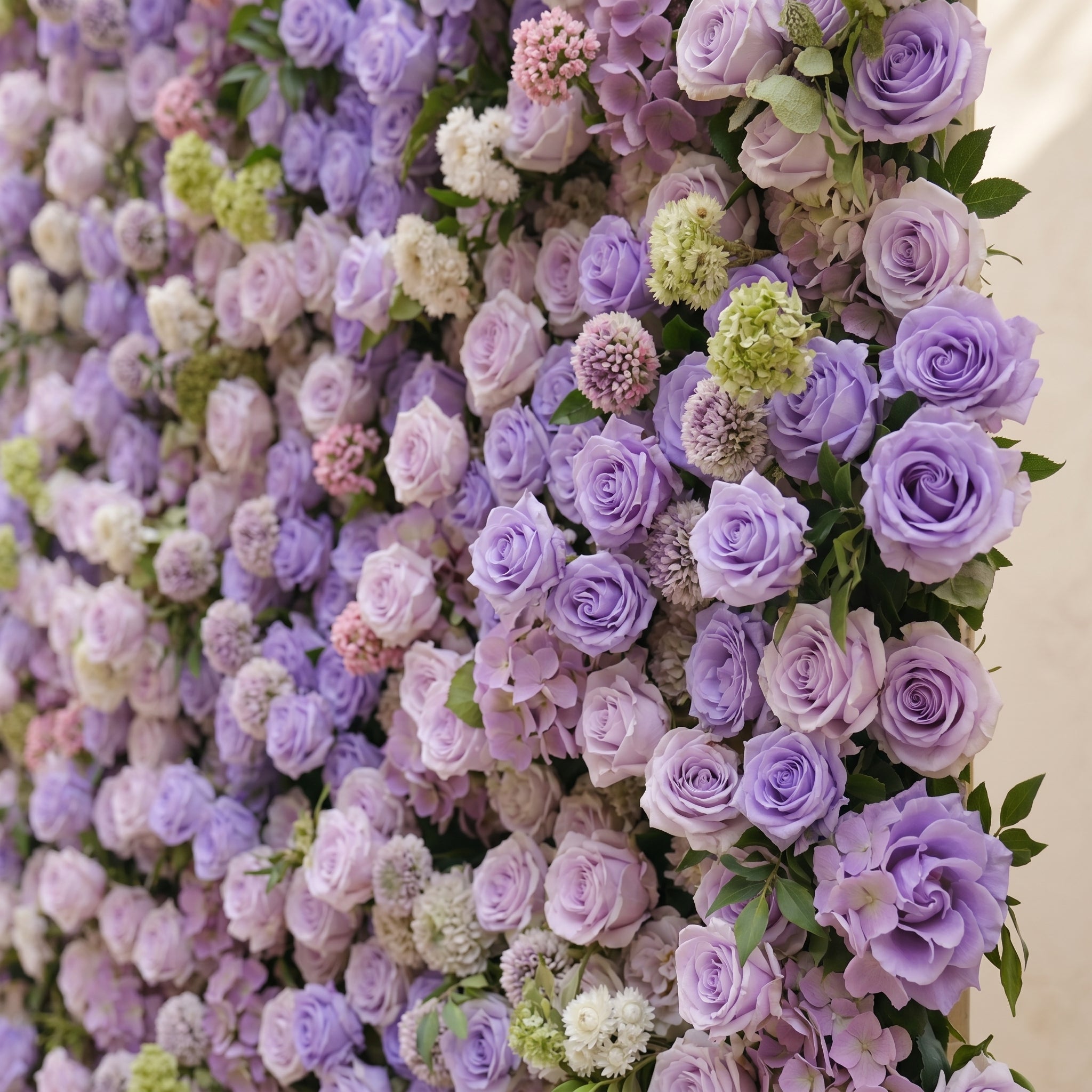 Morbelle:5D Lavender Purple Silk Rose Flower Wall Roll-Up Fabric Backdrop for Romantic Weddings & Proposals Free Shipping