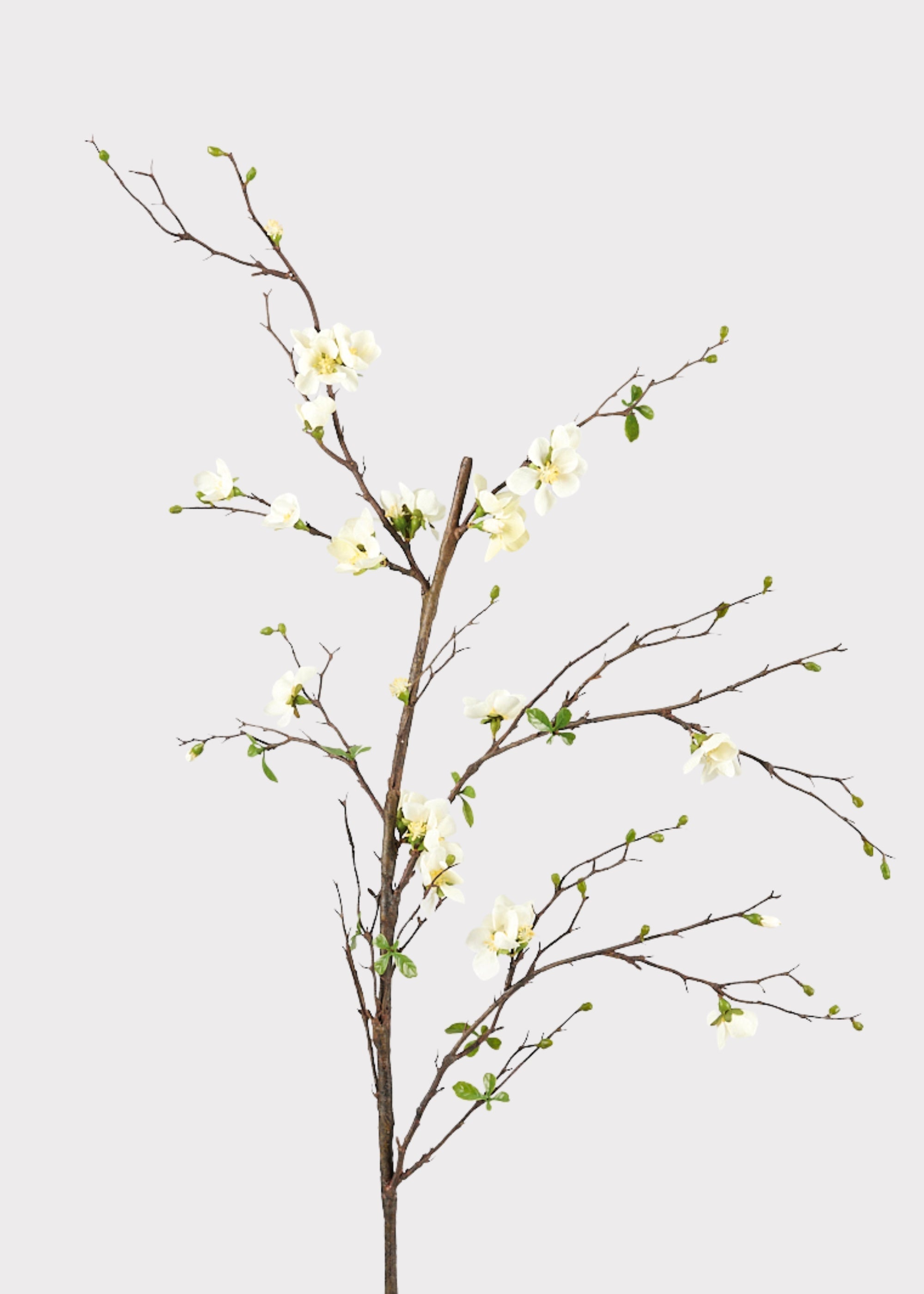 Premium Artificial Flowers - Cream Artificial Blossom Branch - 57