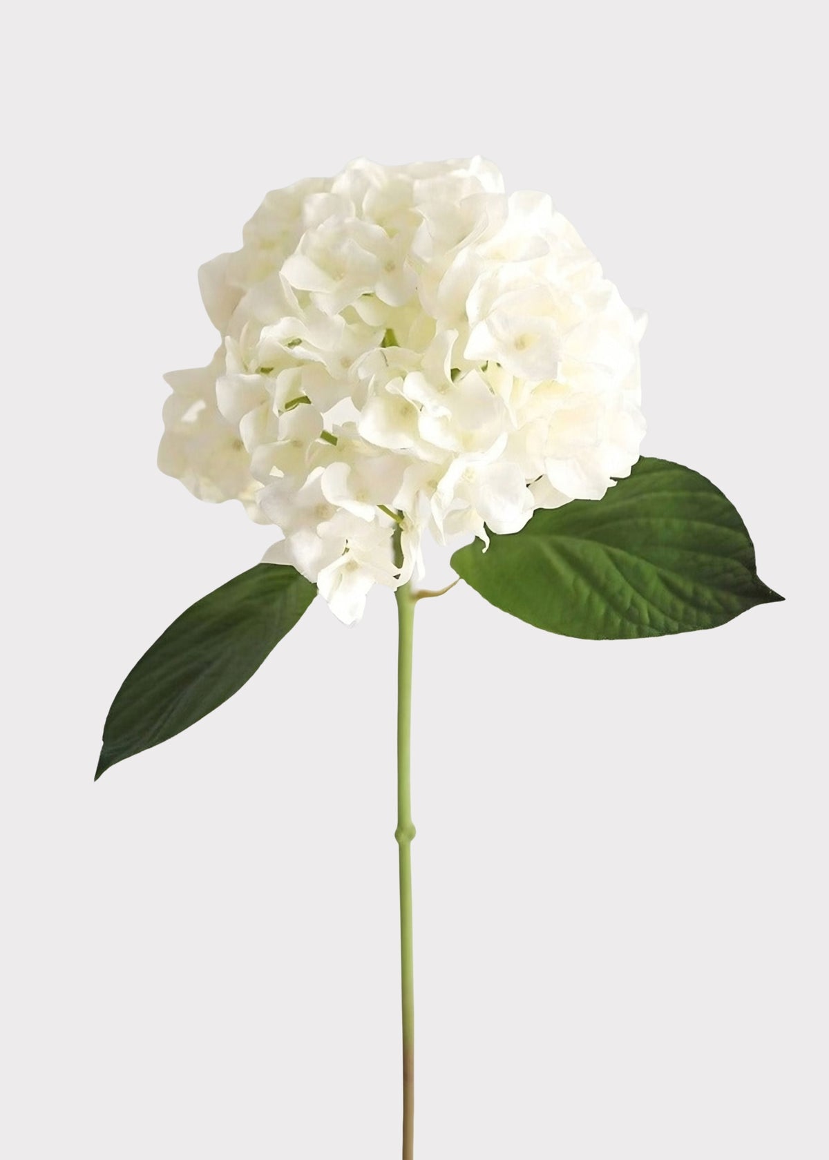 Fake Flowers Real Touch Hydrangea Stem in Talc White - 18