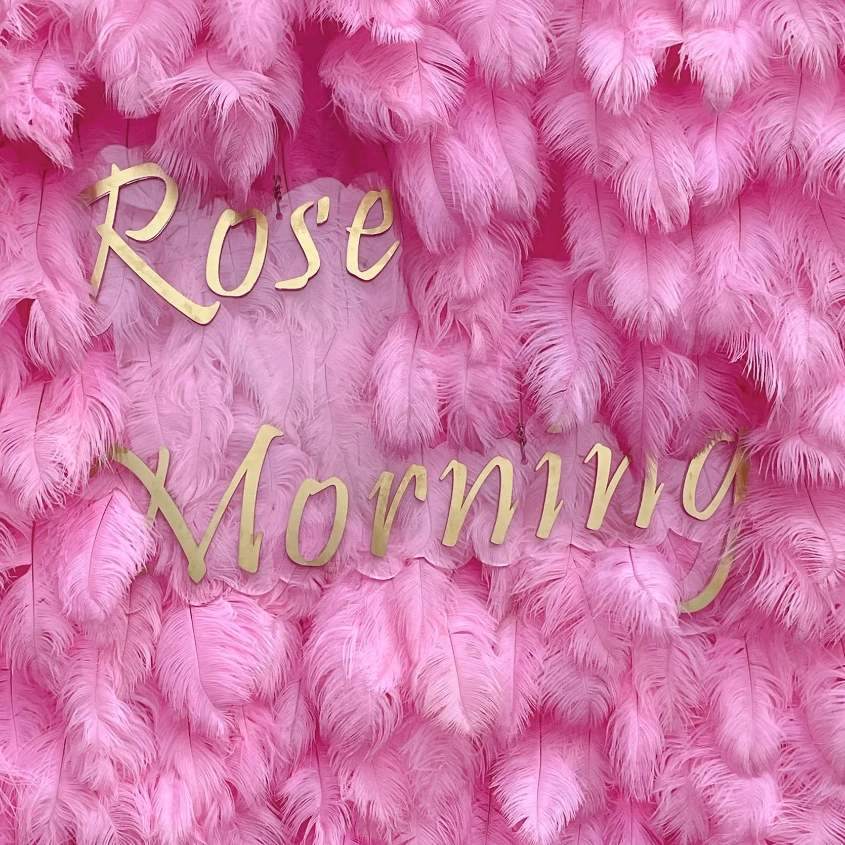 Pink Feather：5D Fabric Artificial rolling up curtain flower wall Free Shipping
