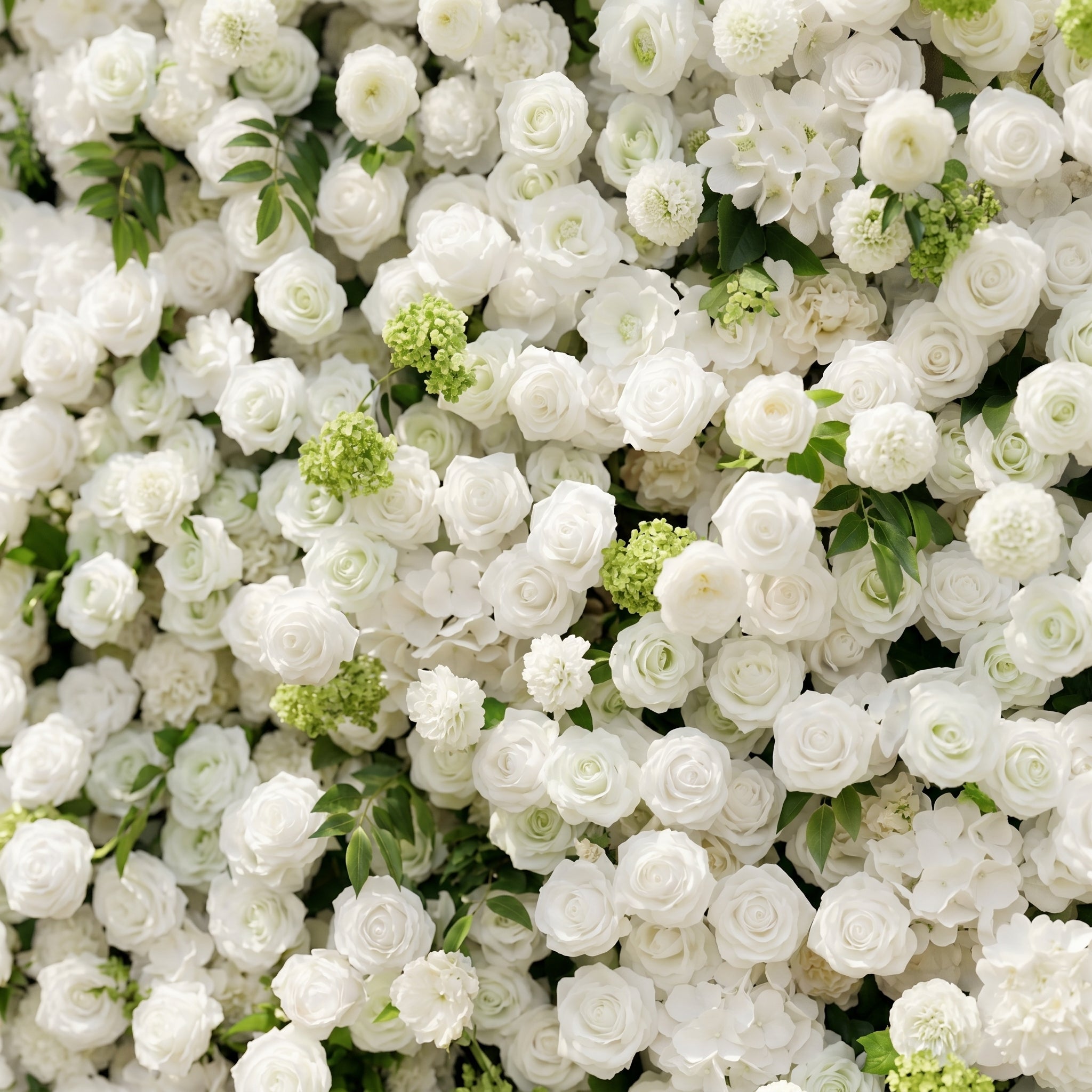 Raellyra:5D Soft Green & Ivory White Silk Rose Flower Wall Roll-Up Fabric Backdrop for Romantic Weddings & Proposals Free Shipping
