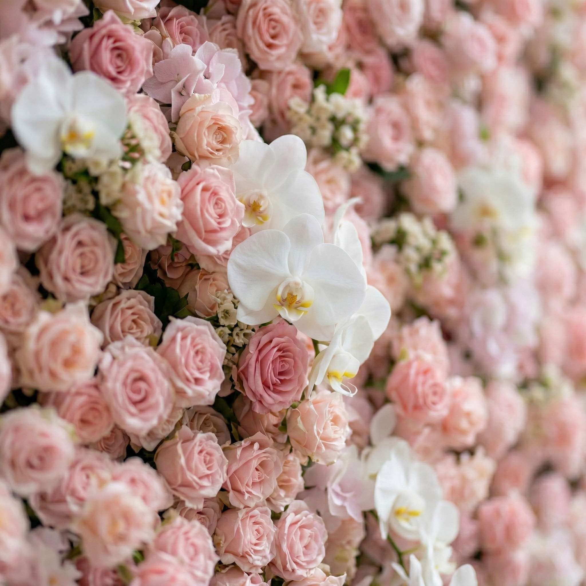 Sabine: 5D Blush Pink Silk Rose Flower Wall with White Orchid for Elegant Weddings & Ballroom Receptions Free Shipping