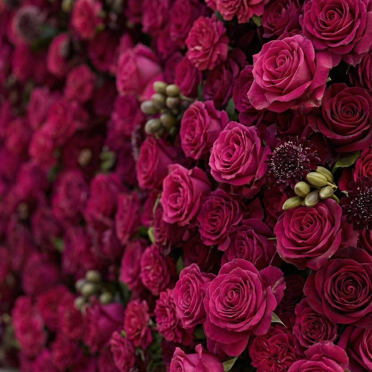Soliva: Luxury 4D Deep Berry & Magenta Silk Floral Wall Backdrop for Sophisticated Moody Weddings & Galas Free Shipping