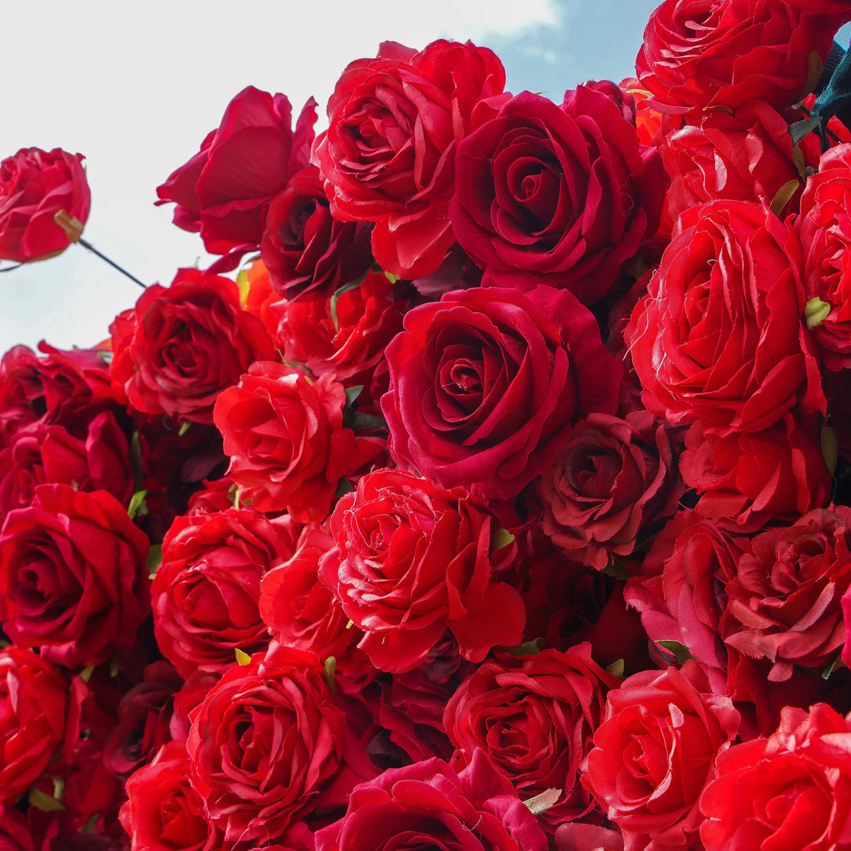 Stacie：5D Garden Series New Fabric Artificial rolling up curtain flower wall Free Shipping