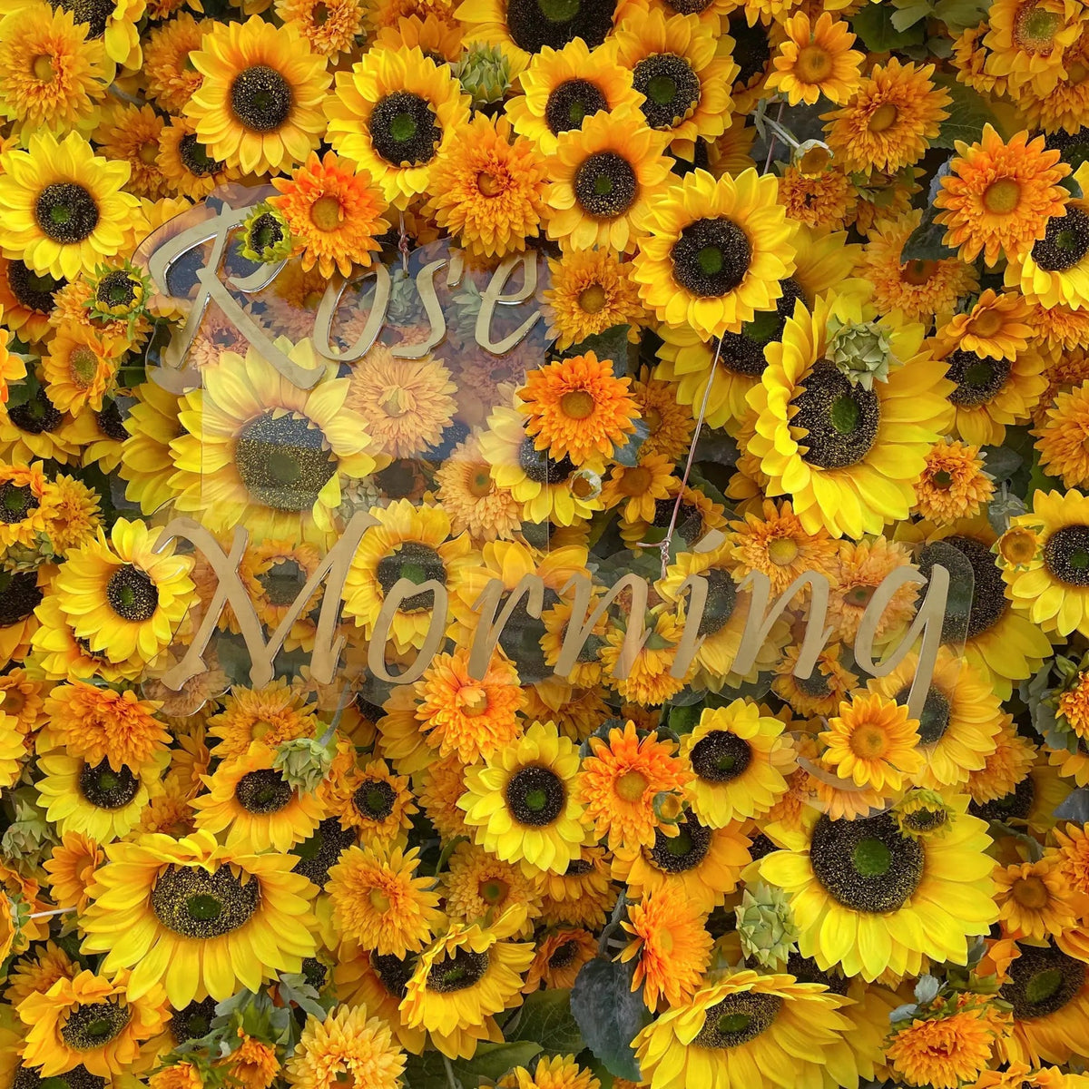 Sunflower：5D Fabric Artificial rolling up curtain flower wall Free Shipping
