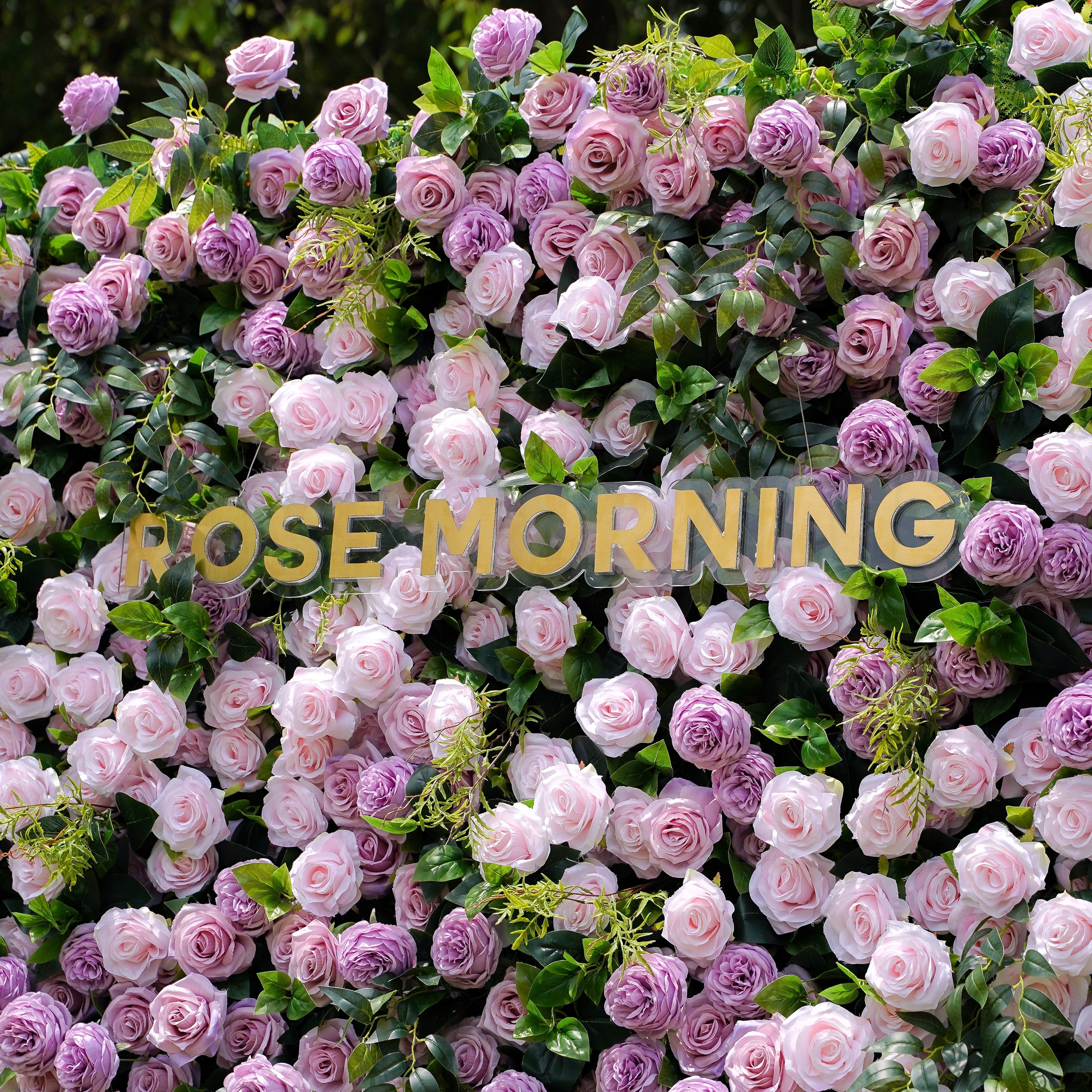 Tamara：5D Fabric Artificial rolling up curtain flower wall Rose Morning