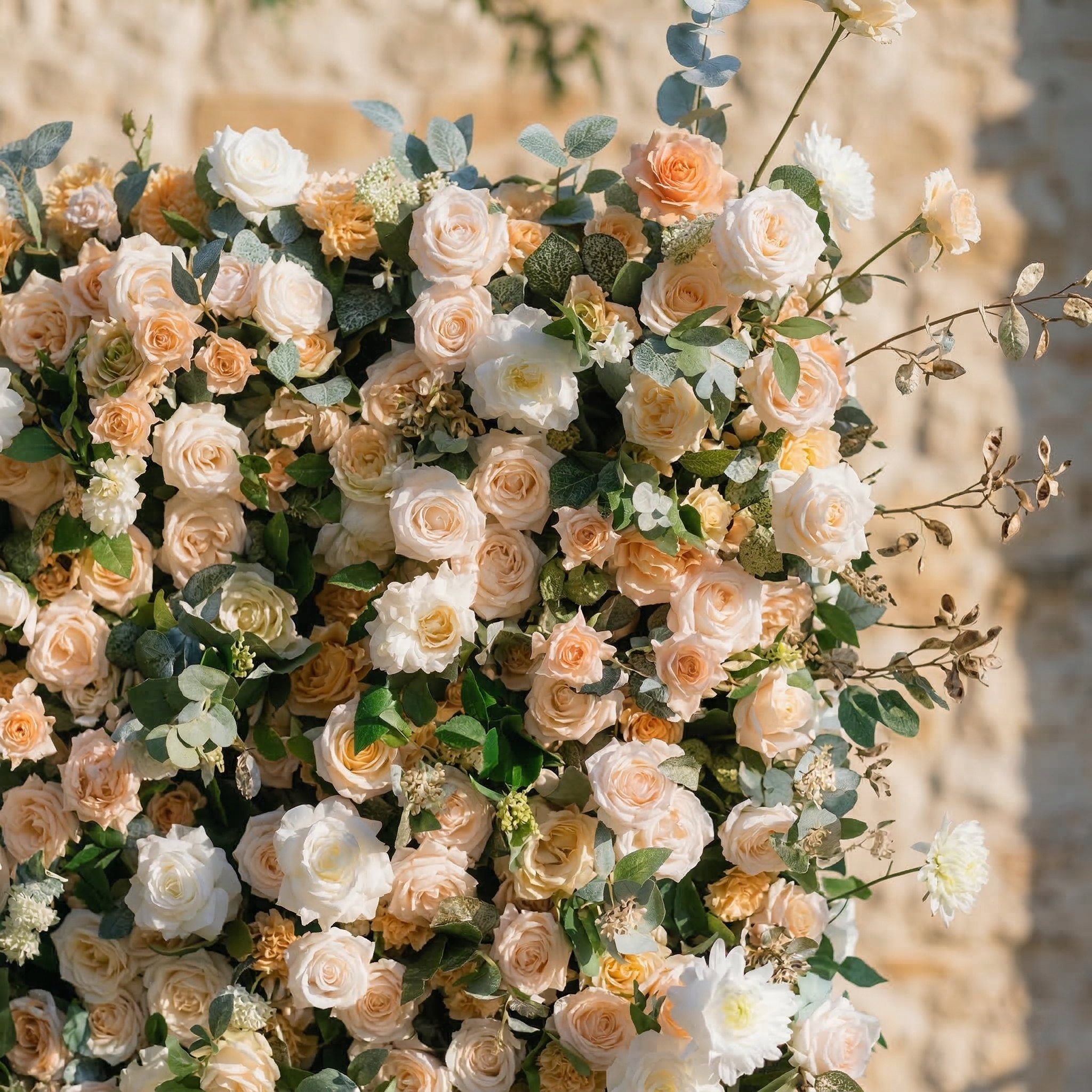 Tarelle: 5D Champagne and Cream Silk Rose Flower Wall Roll-Up Fabric Backdrop for Garden Weddings & Events Free Shipping
