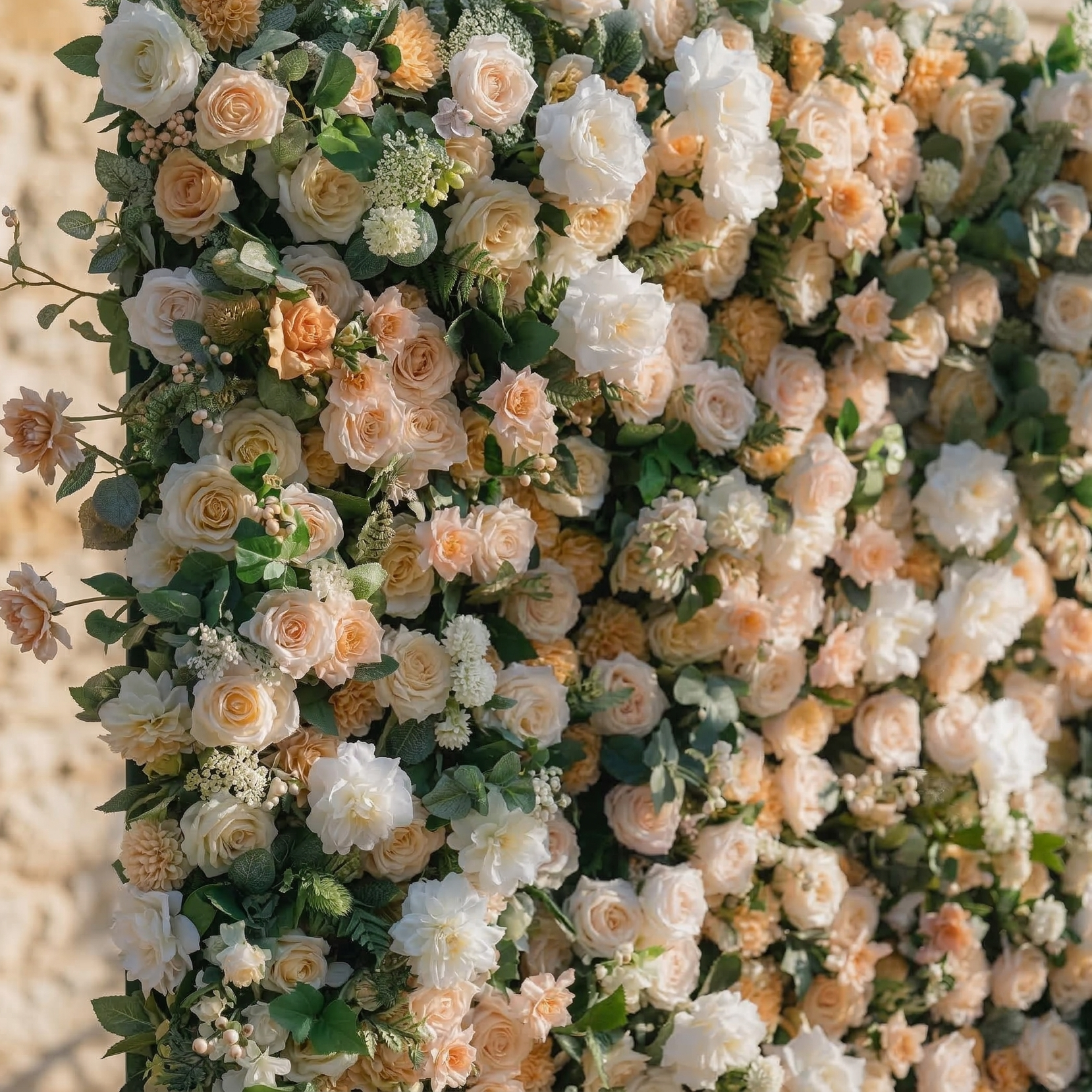 Tarelle: 5D Champagne and Cream Silk Rose Flower Wall Roll-Up Fabric Backdrop for Garden Weddings & Events Free Shipping