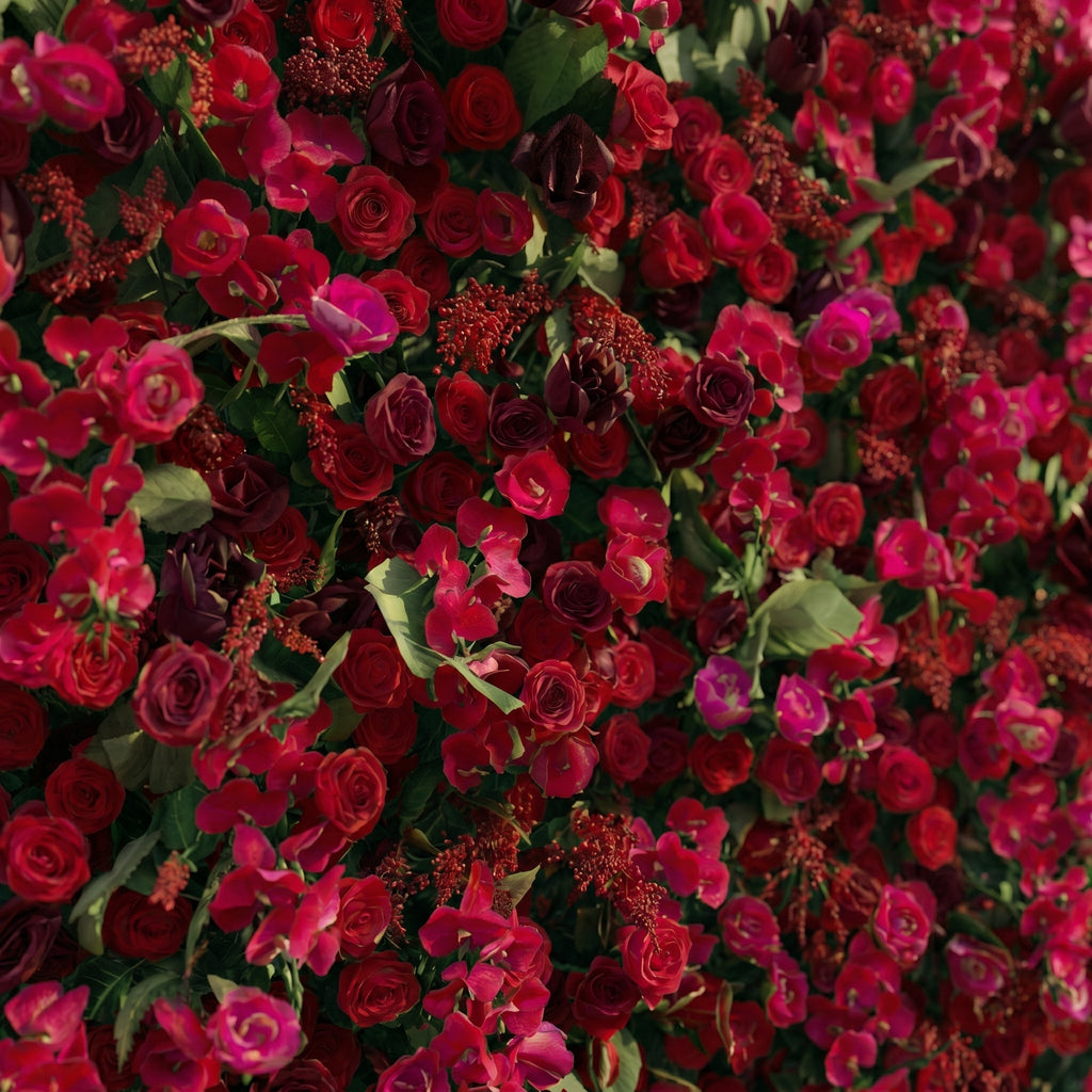 Torella:5D Luxury Burgundy Red Silk Rose Flower Wall Roll-Up Fabric Backdrop for Romantic Weddings & Proposals Free Shipping