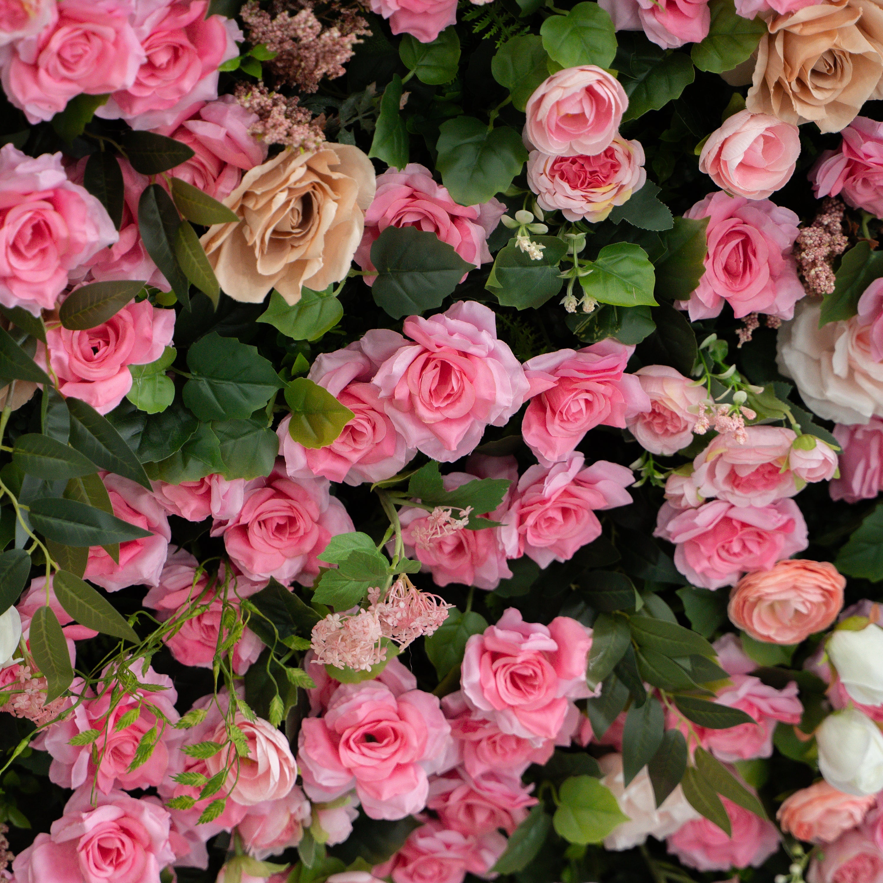 Valevia:5D Multi Tone Hot Pink & Ivory White Silk Rose Flower Wall Roll-Up Fabric Backdrop for Romantic Weddings & Proposals Free Shipping