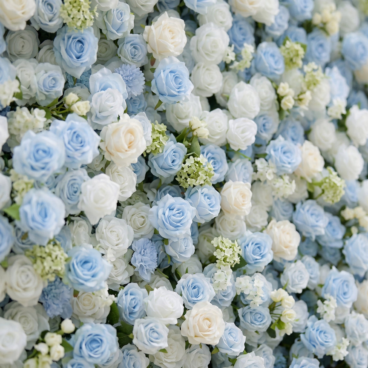Vasper:5D Dusty Baby Blue & Ivory White Silk Rose Flower Wall Roll-Up Fabric Backdrop for Romantic Weddings & Proposals Free Shipping