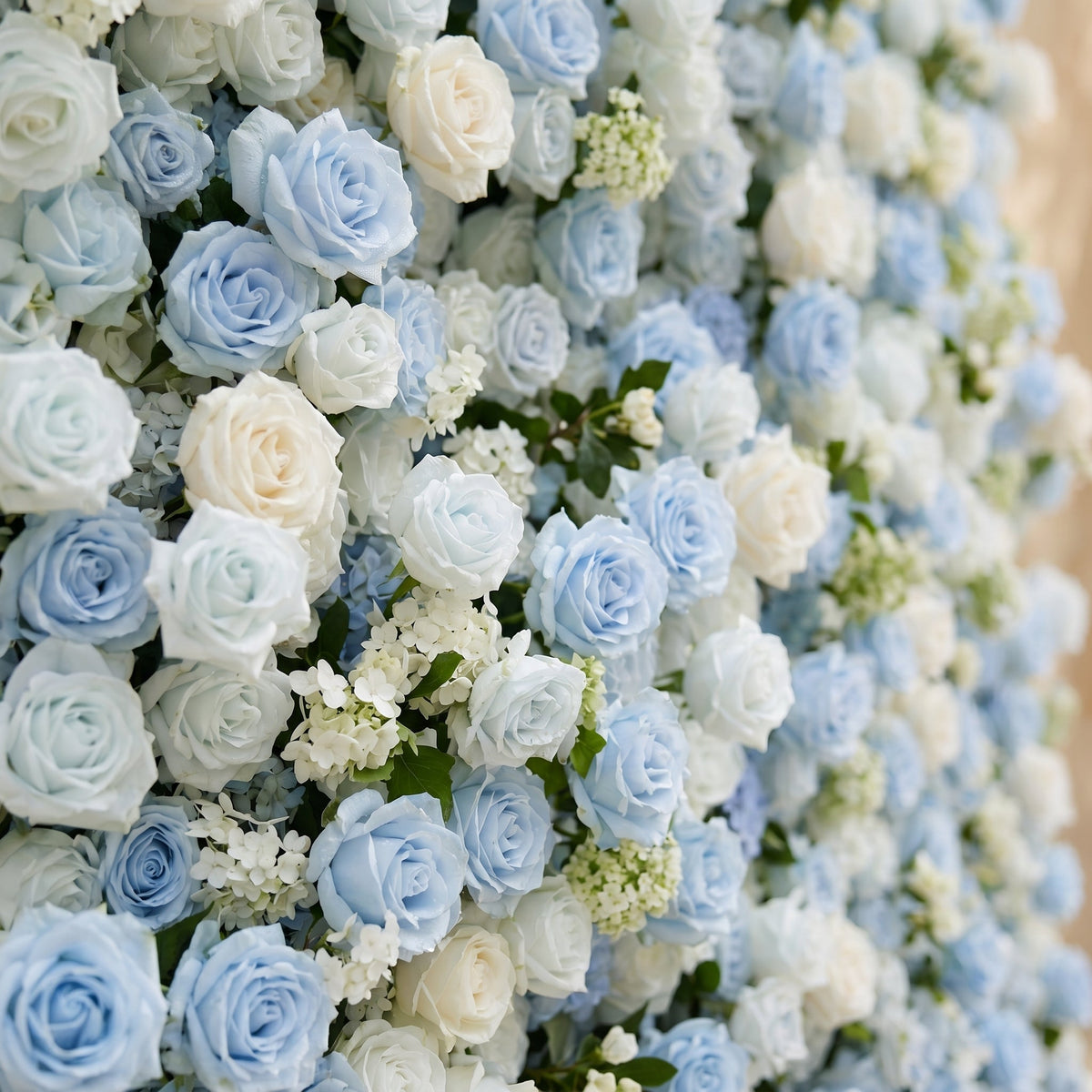 Vasper:5D Dusty Baby Blue & Ivory White Silk Rose Flower Wall Roll-Up Fabric Backdrop for Romantic Weddings & Proposals Free Shipping