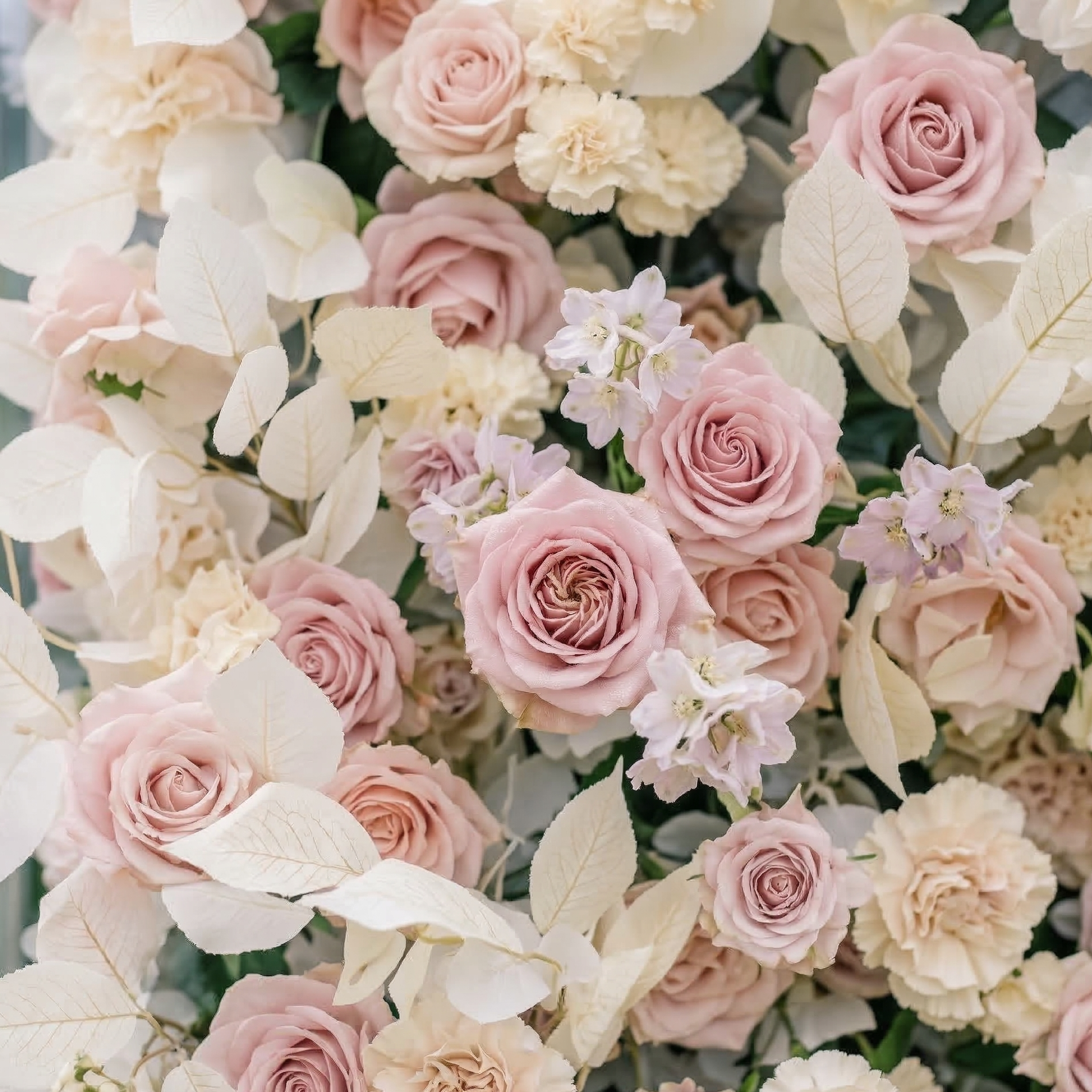 Vexira: 3D Dusty Pink Silk Rose Flower Wall Roll-Up Fabric Backdrop for Romantic Weddings & Proposals Free Shipping