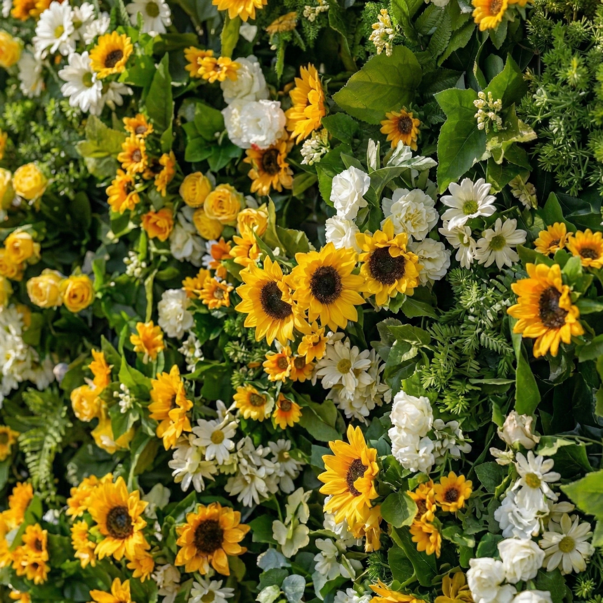 Violetta: Luxury 5D Sunflower & Cream Rose Silk Floral Wall Roll-Up Fabric Backdrop for Garden Weddings & Events Free Shipping