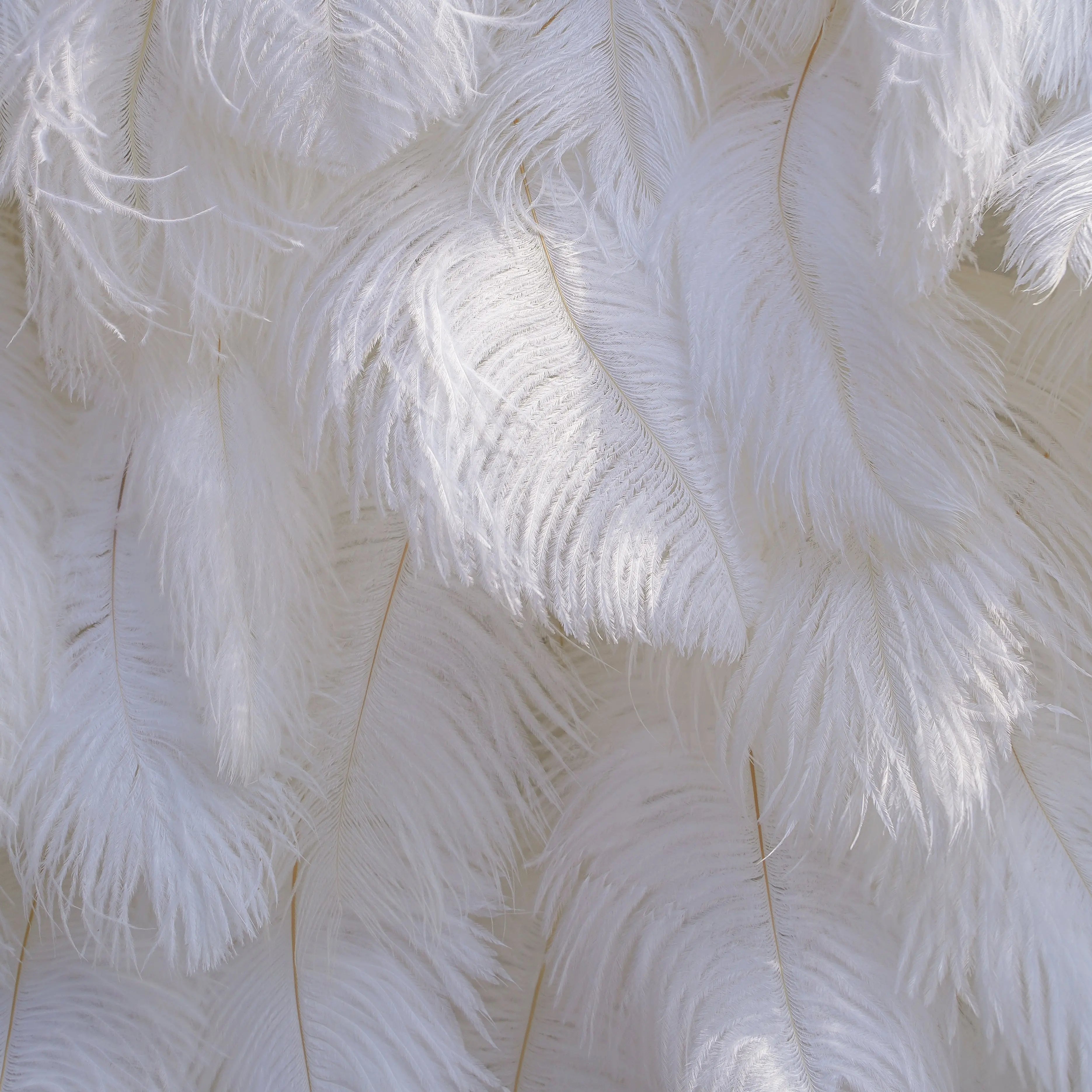 White Feather：5D Fabric Artificial rolling up curtain flower wall Free Shipping