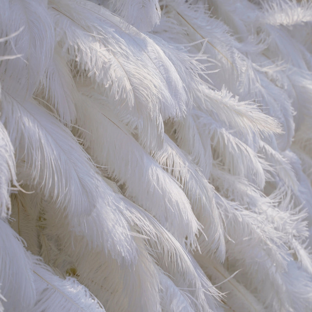 White Feather：5D Fabric Artificial rolling up curtain flower wall Free Shipping