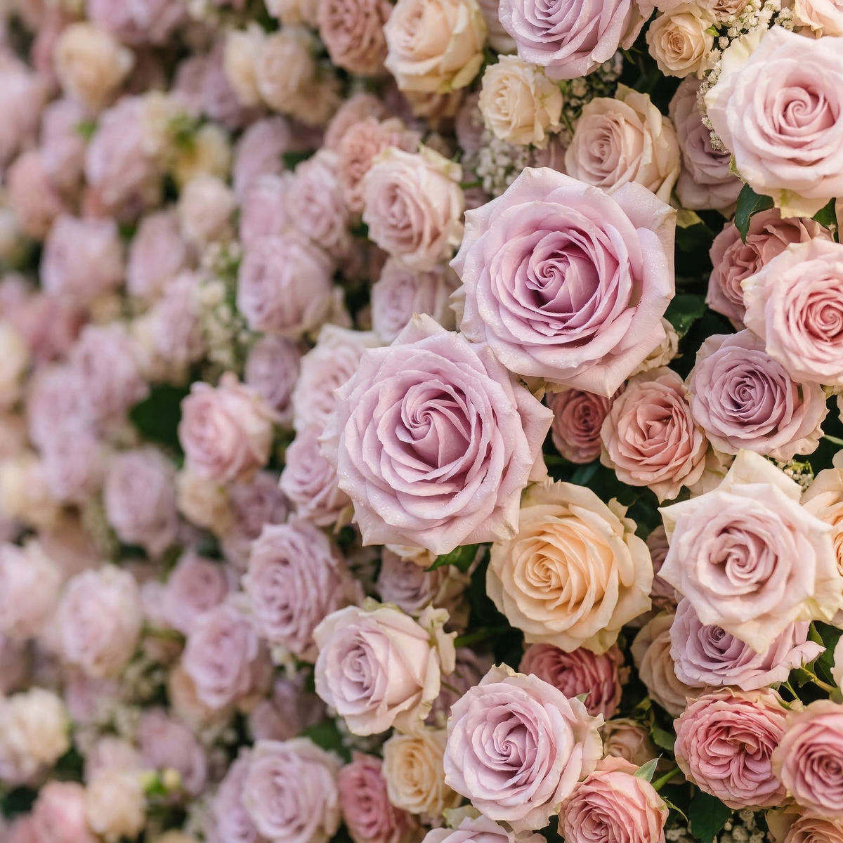 Yavelle: 5D Soft Pink & Light Lavender Silk Rose Flower Wall Roll-Up Fabric Backdrop for Elegant Weddings Free Shipping