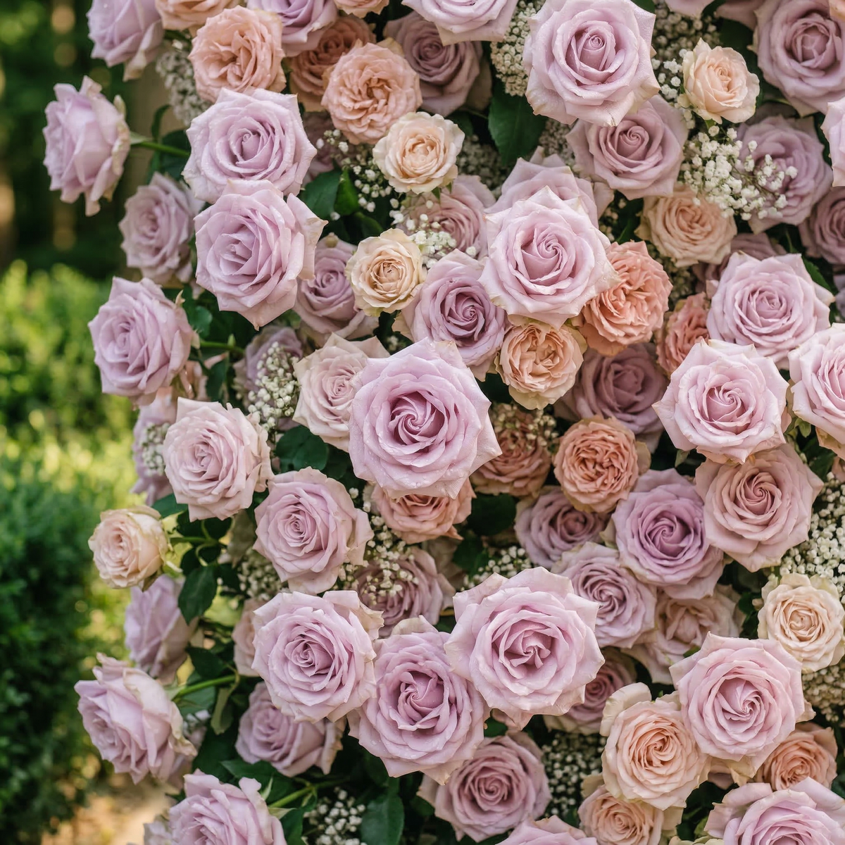 Yavelle: 5D Soft Pink & Light Lavender Silk Rose Flower Wall Roll-Up Fabric Backdrop for Elegant Weddings Free Shipping