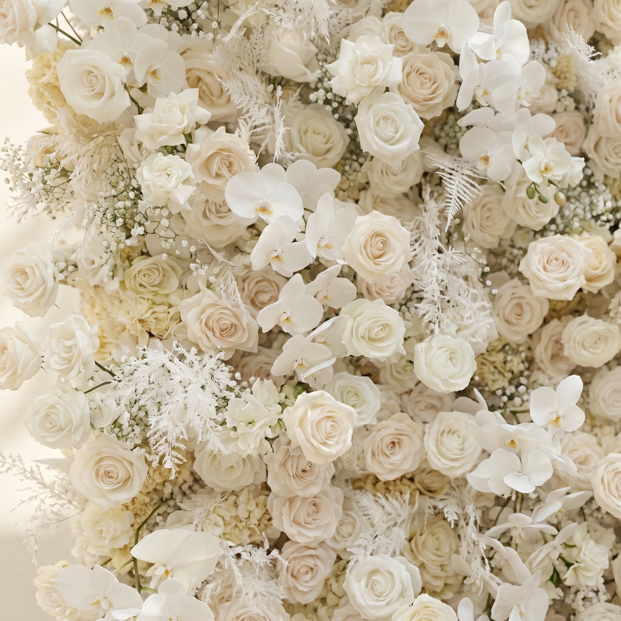 Zelaria:5D Cream White & Ivory White Silk Rose Flower Wall Roll-Up Fabric Backdrop for Romantic Weddings & Proposals Free Shipping